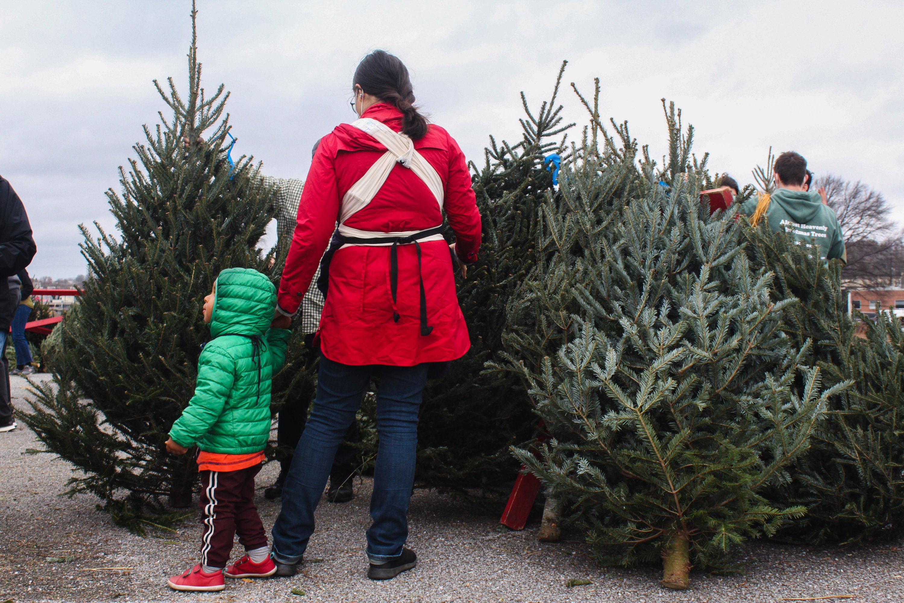 2021_NY Ave_Christmas Tree Sale and Holiday Market_winter-41 - Washingtonian Photo courtesy of Friends of the National Arboretum's winter festival.