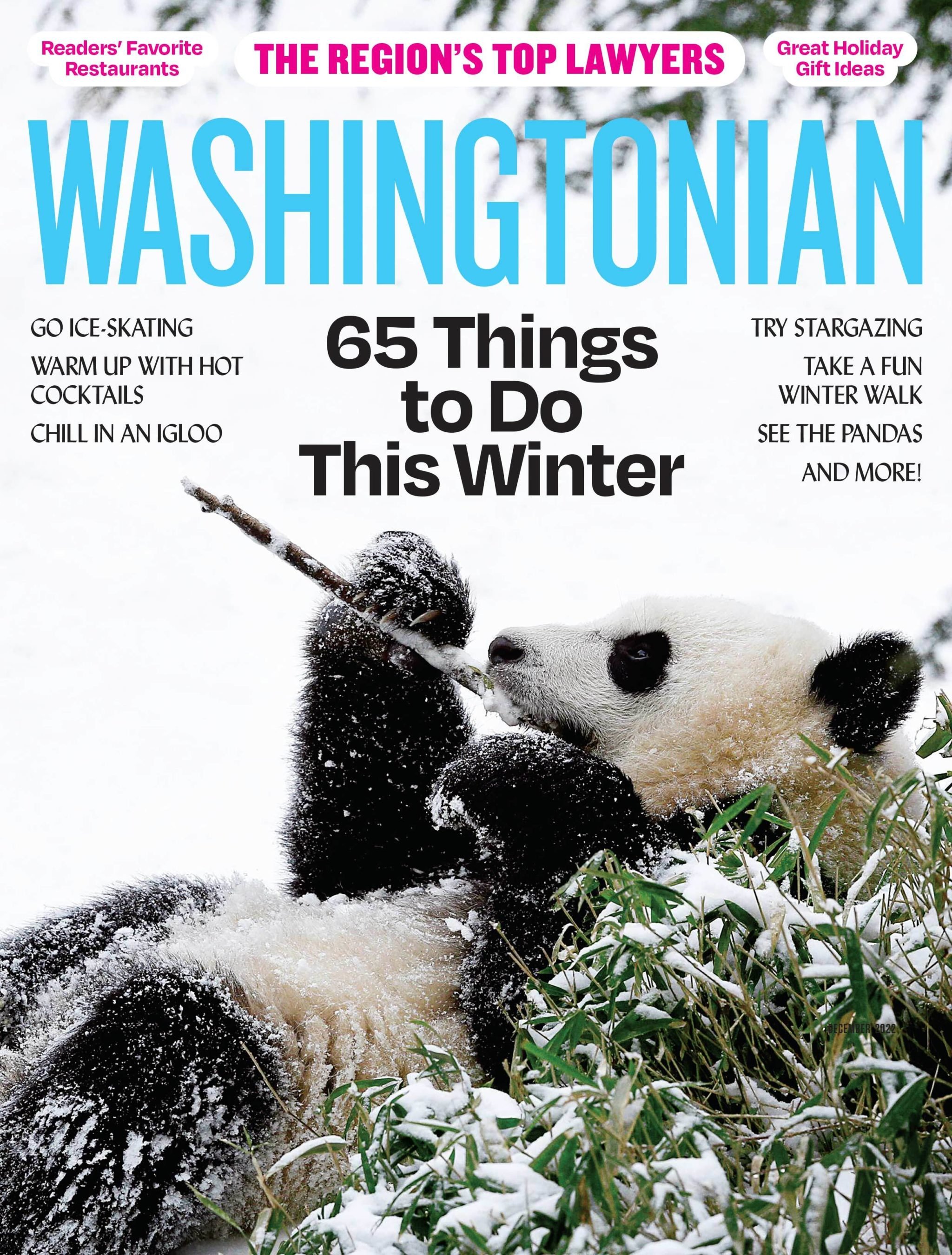 December 2022: 65 Things to Do This Winter