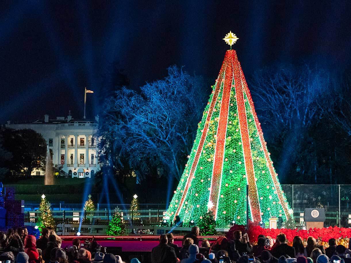 Things to Do in DC Nov. 28Dec. 4 Tree Lightings, Shows, Films