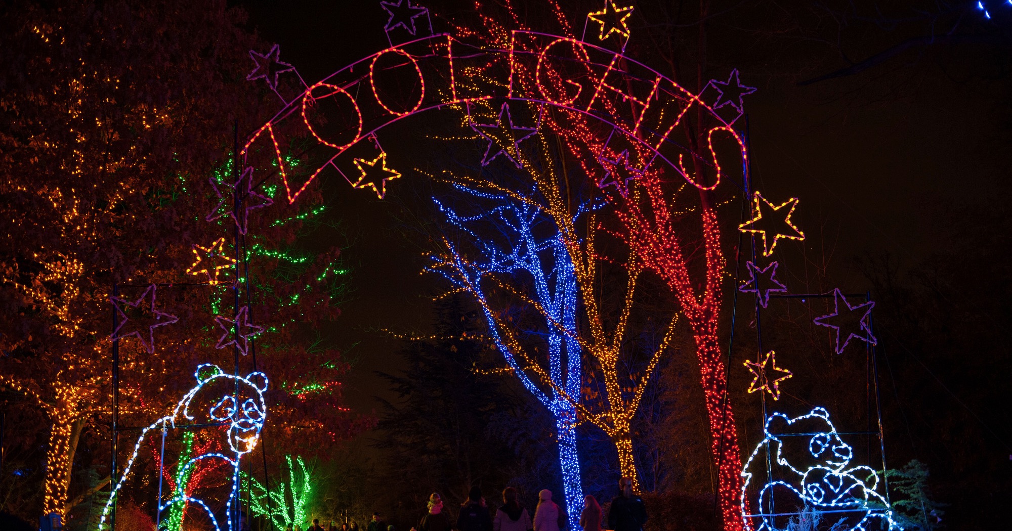 Things to Do in DC Nov. 21-27: Enchant DC, Concerts, Theater - Vimarsana News