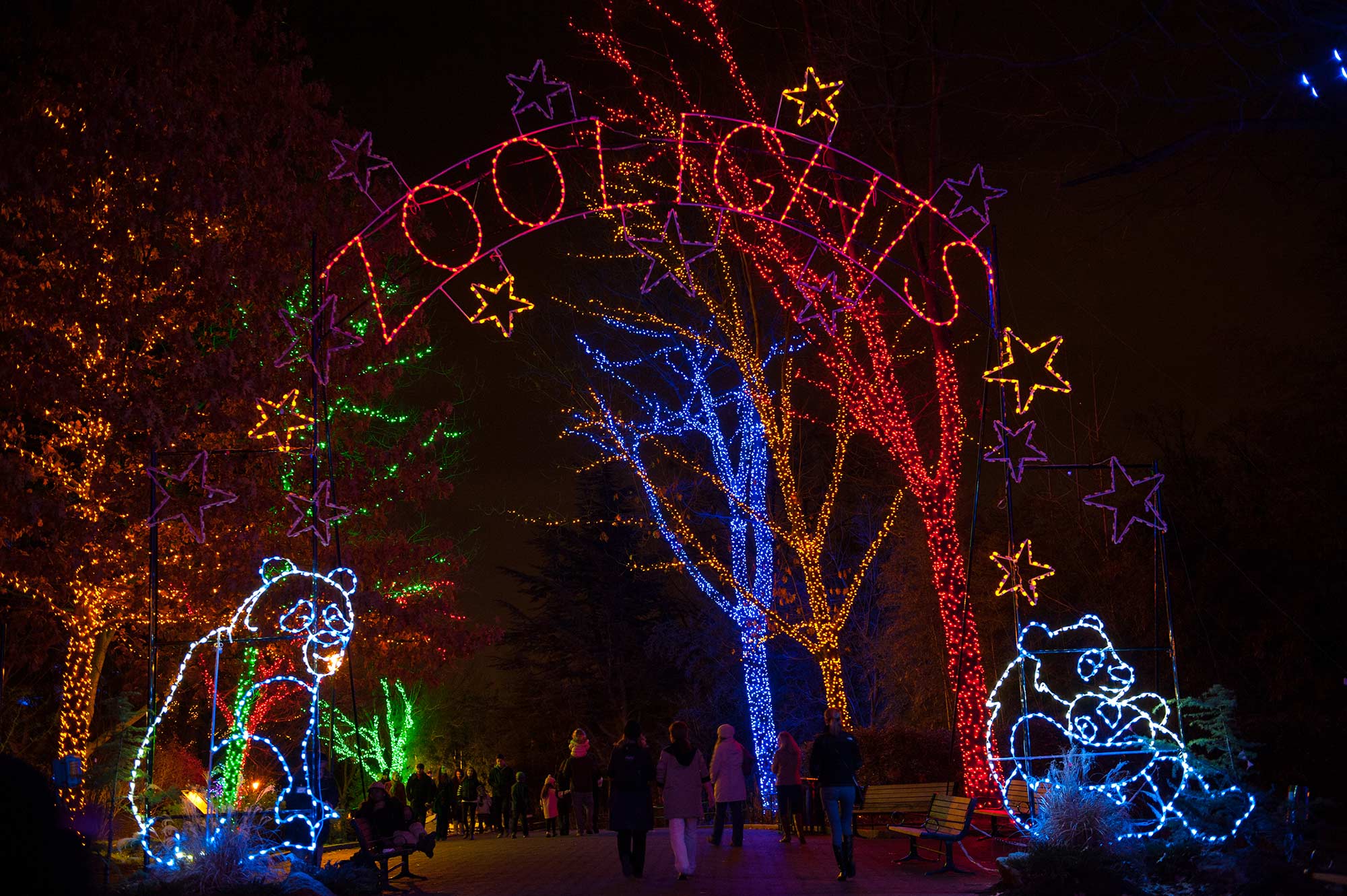 11 Best Holiday Light Displays Around the Area