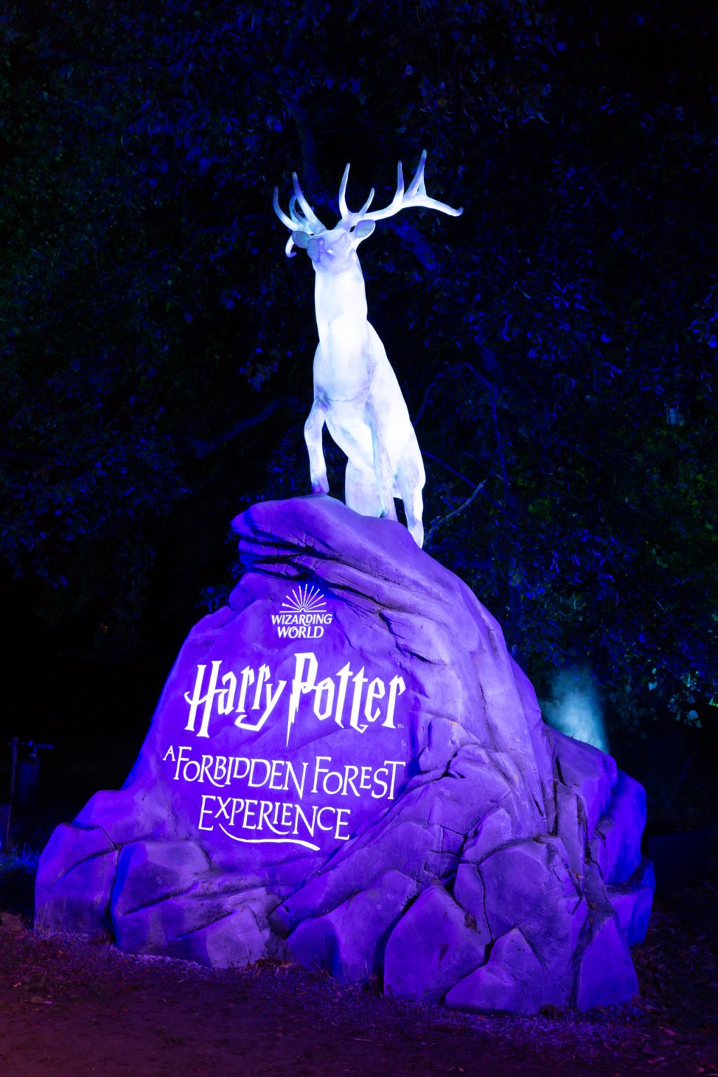 Walk Through the Forbidden Forest at the New Harry Potter Experience