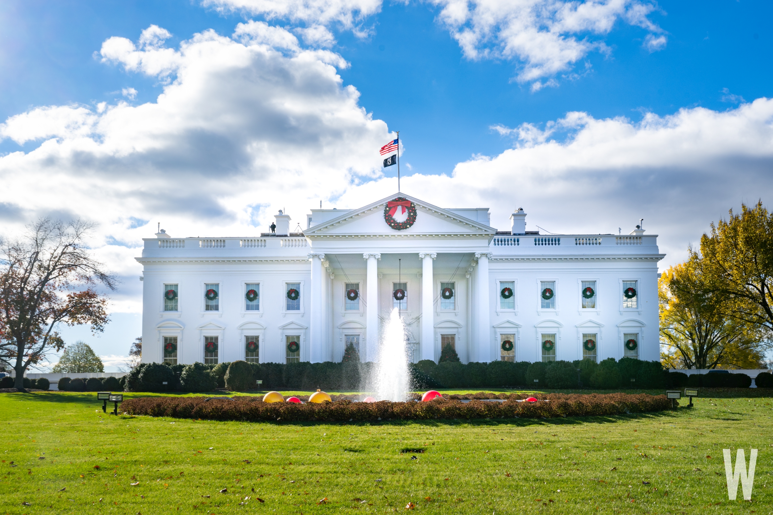 ZSC_5519 - Washingtonian