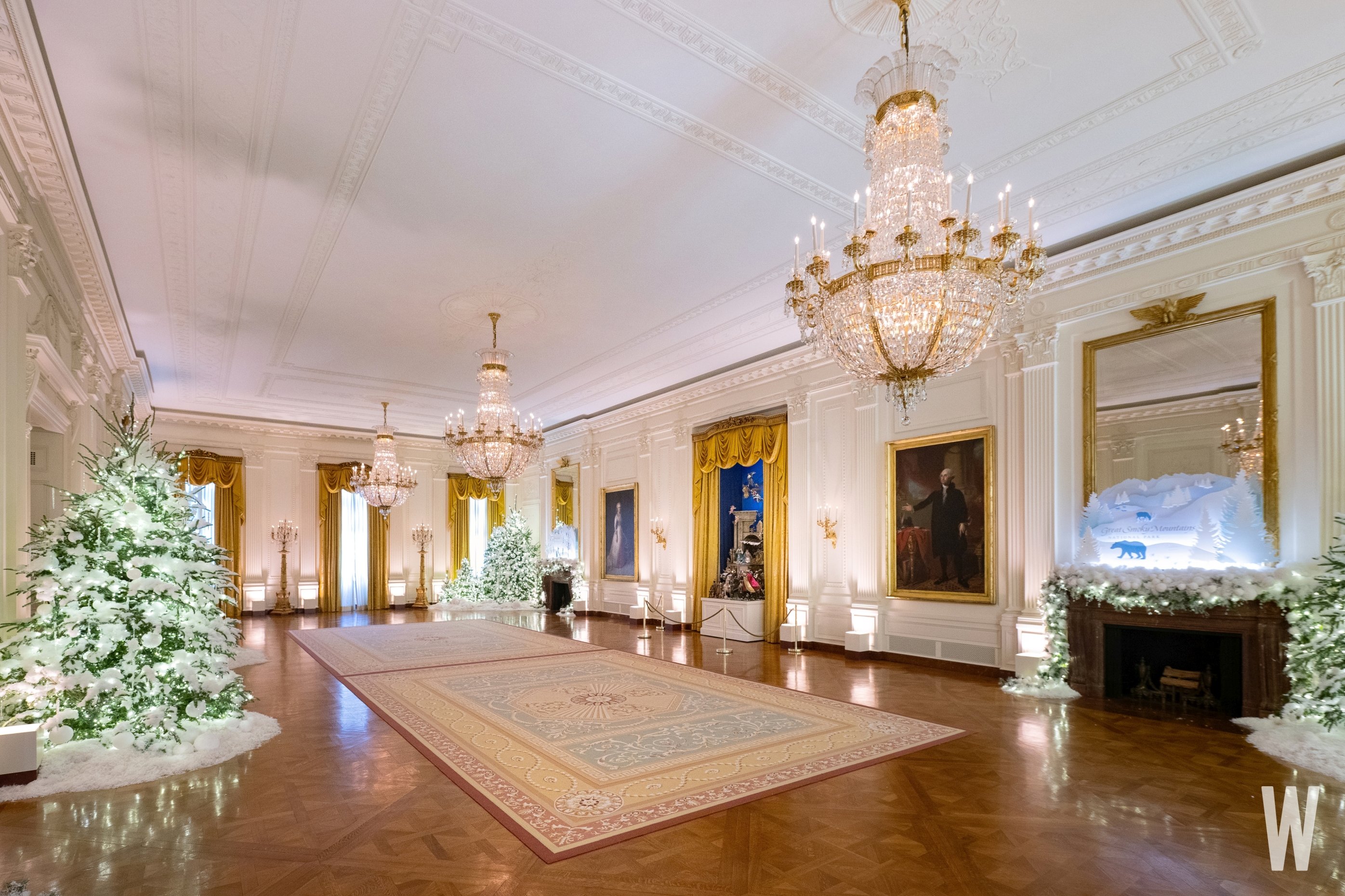 ZTC_1716a - Washingtonian