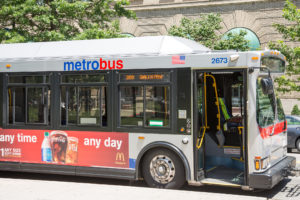Goodbye, Ghost Buses