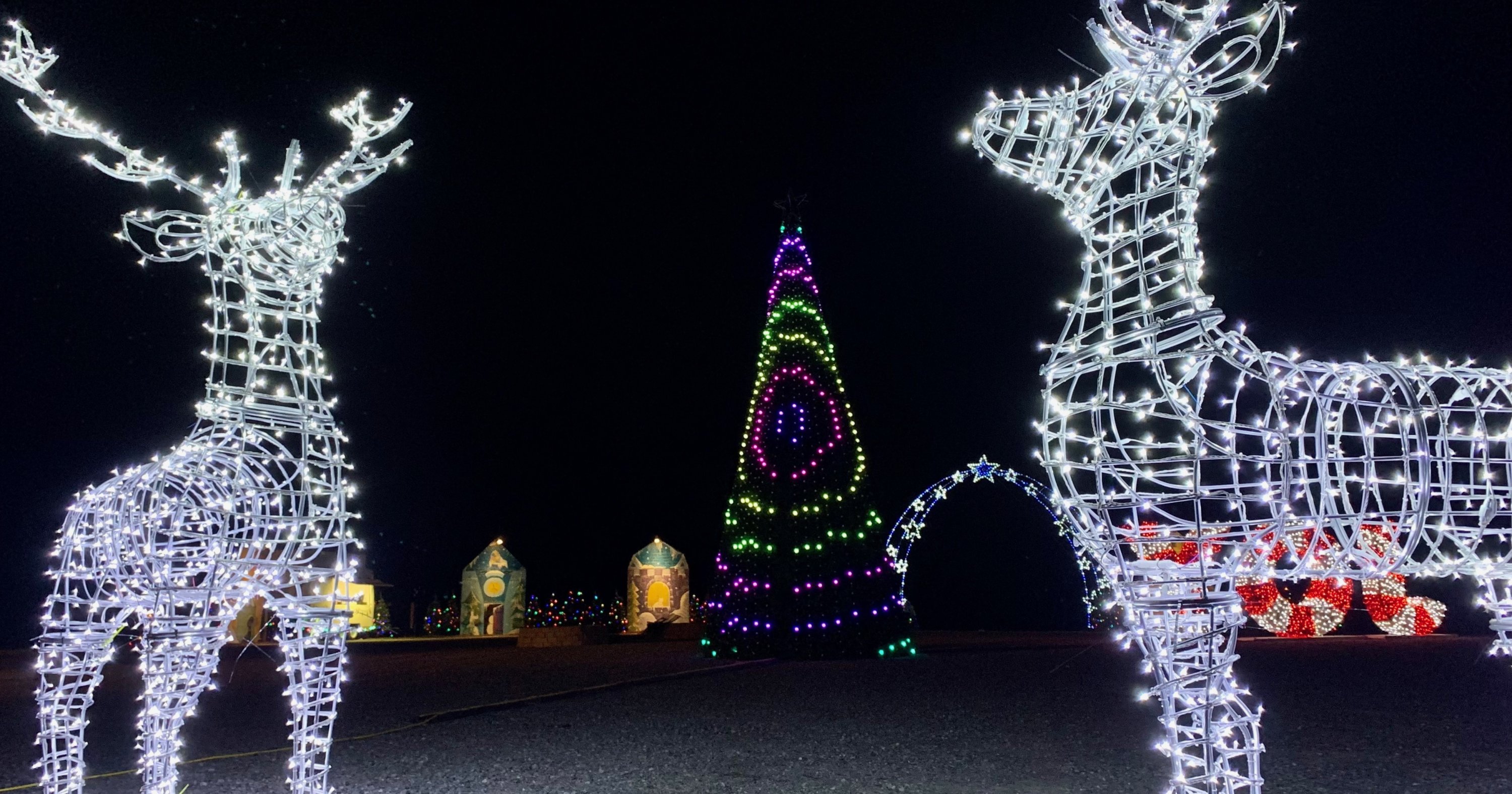 Things to Do in DC Dec. 19-25: Festival of Lights, Hanukkah, Art - Vimarsana News