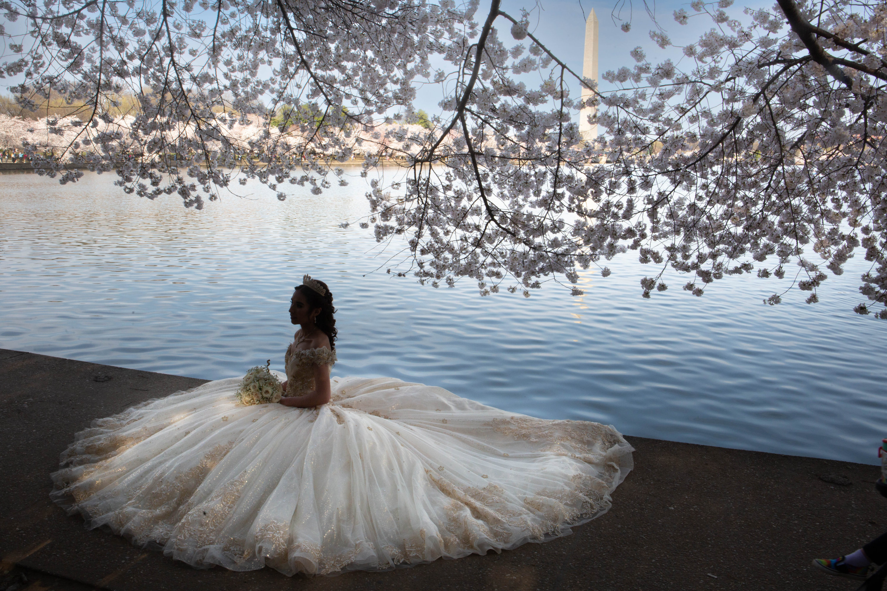 March 22: The Tidal Basin during cherry blossom season. 