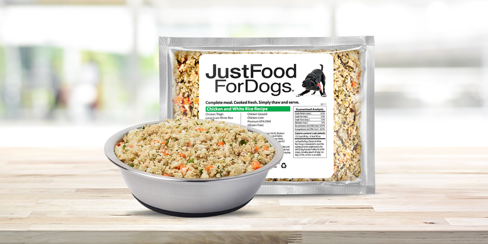 Finest Pet Meals: A 2023 Shopping for Information to Selecting the Proper Vitamin for Your Pup