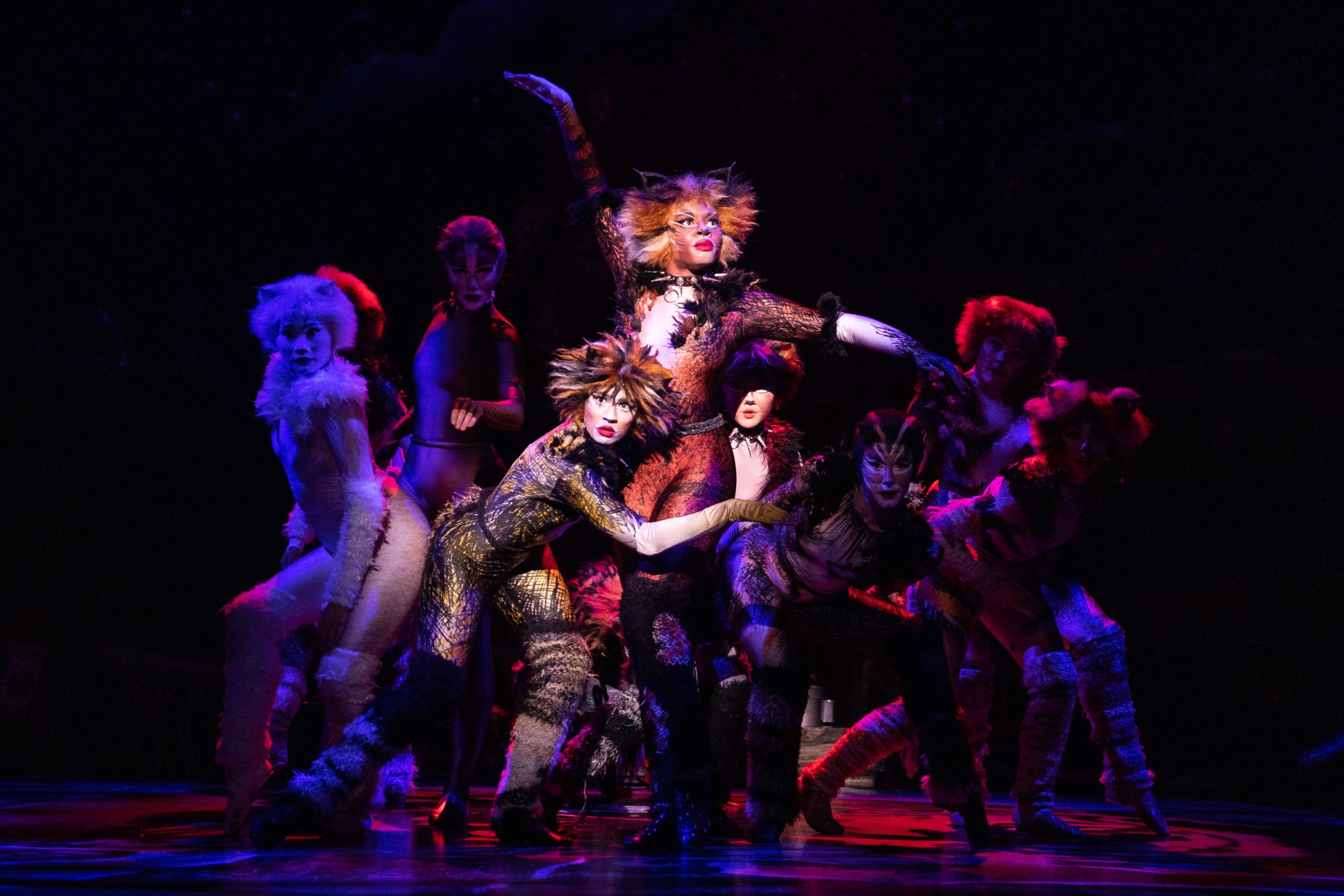 Lauren Louis as Demeter, Chelsea Nicole Mitchell as Bombalurina, and the company of the 2021-2022 national tour of CATS (Photo By_ Matthew Murphy, Murphymade) - Washingtonian