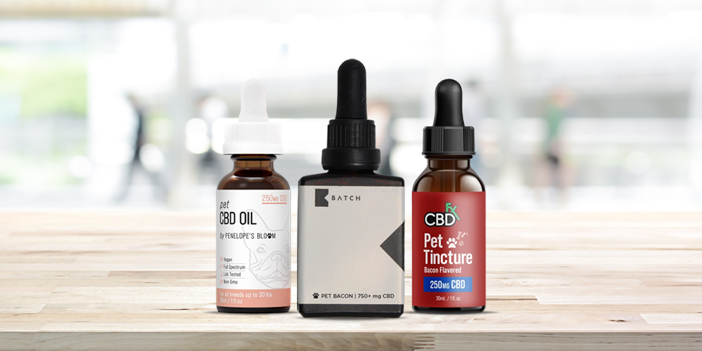 can cbd oil help dogs with allergy relief