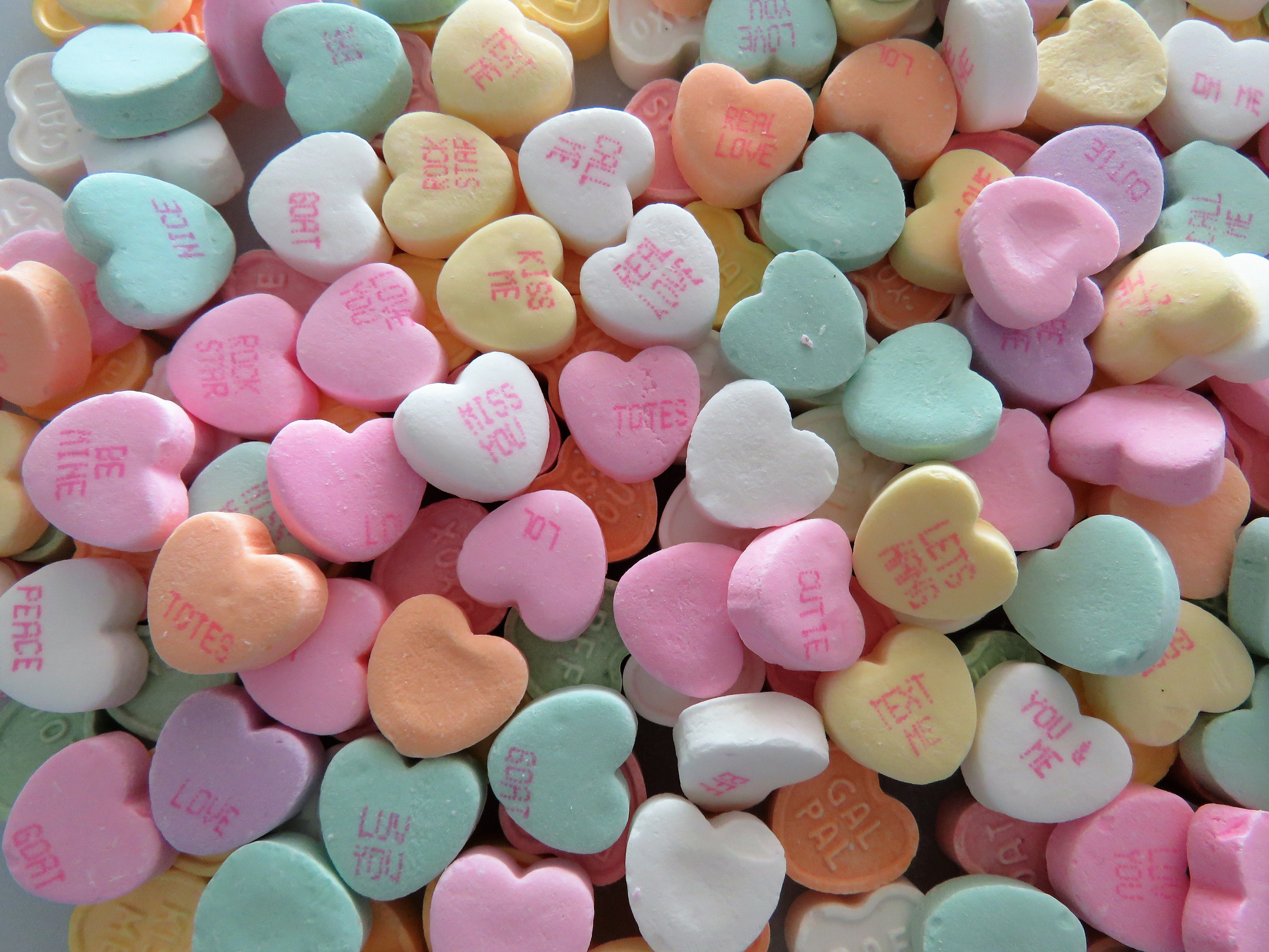 Image by Christine Kohler via iStock/Getty Images Plus.