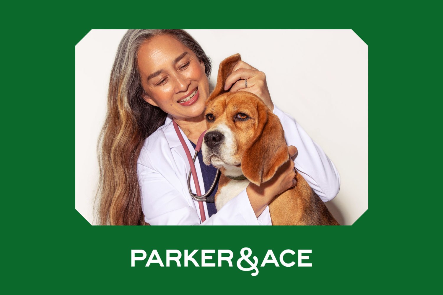 Parker & Ace: A New Type of Veterinarian Comes to H Street