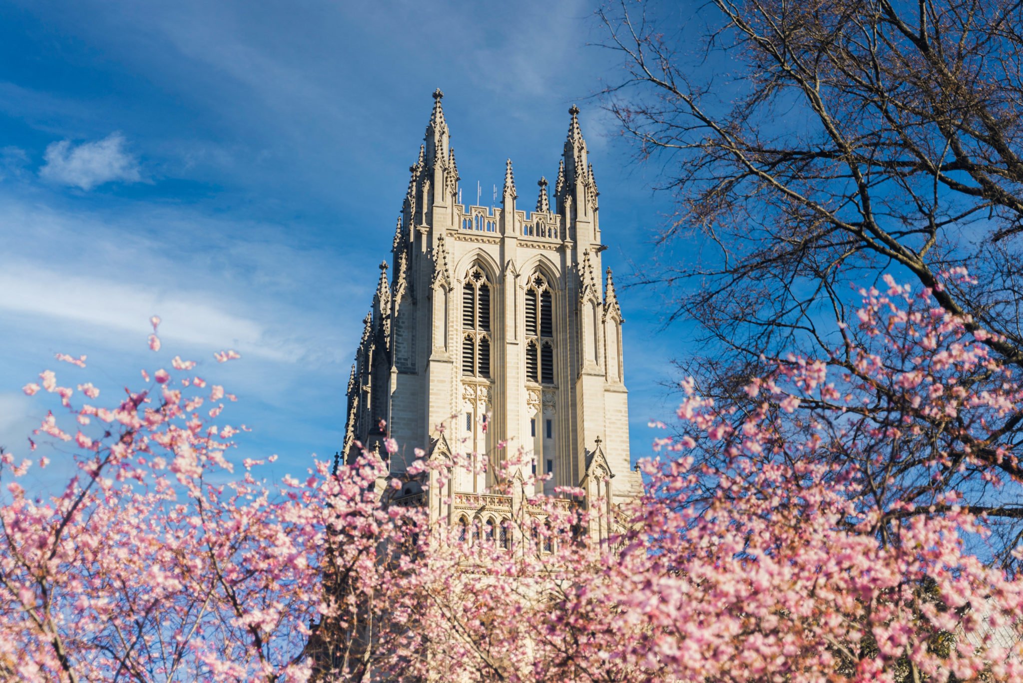 A History Buff’s Guide to Washington, DC
