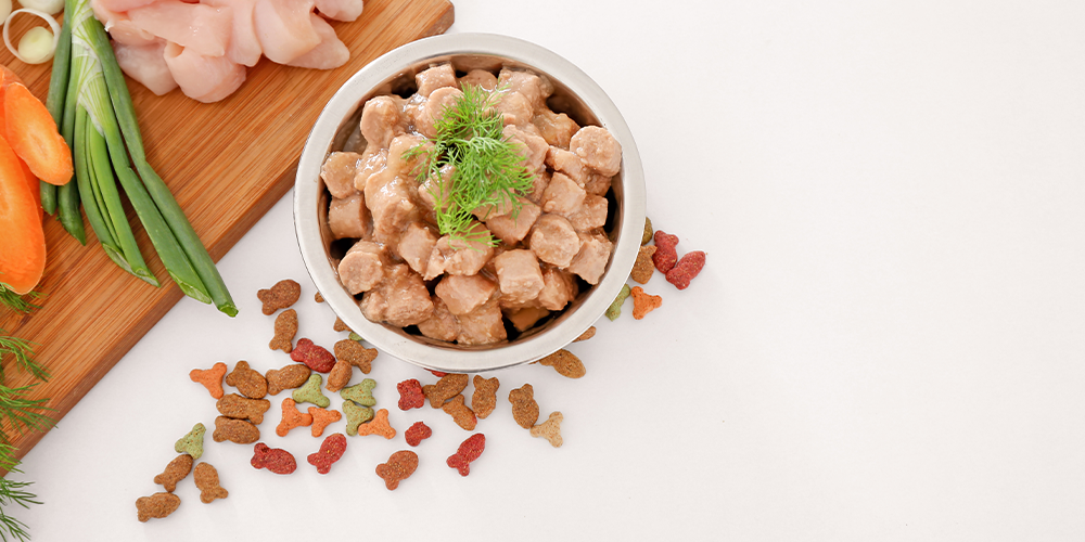 Best Cat Food: 5 Options for a Complete and Balanced Diet