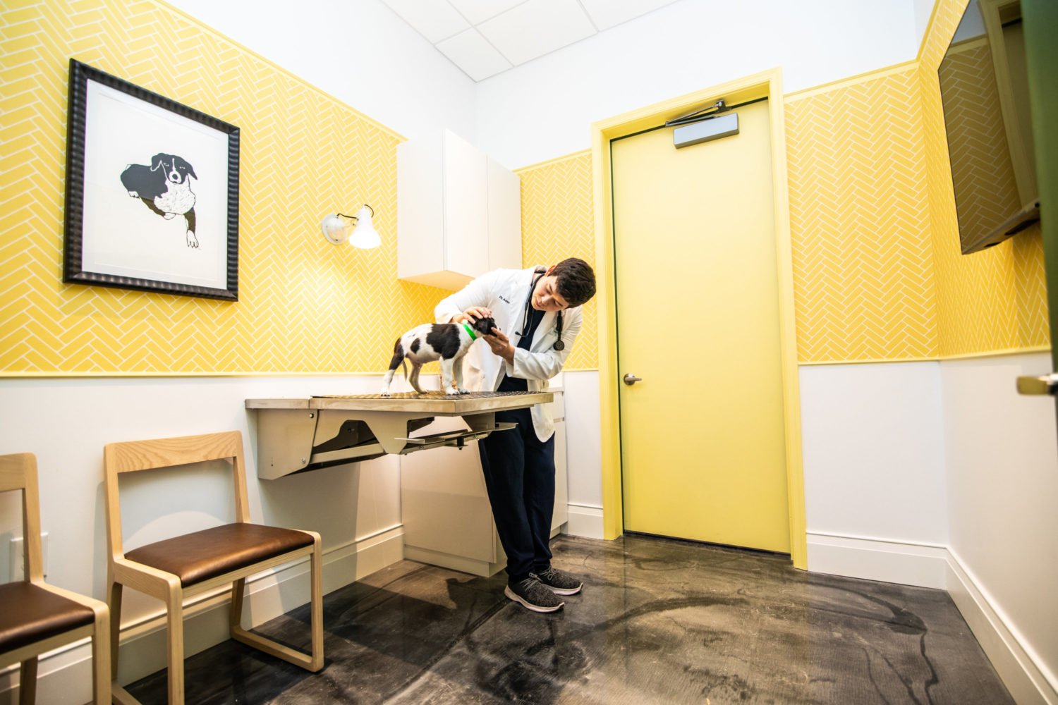 A treatment room at Parker & Ace. Photo by Kaz Sasahara.