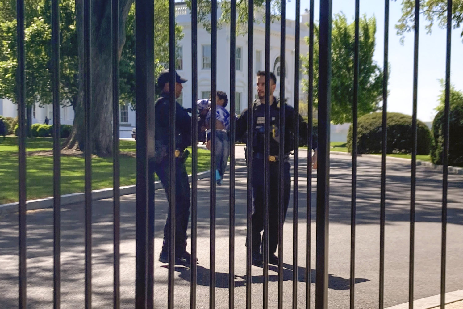 Toddler White House Fence