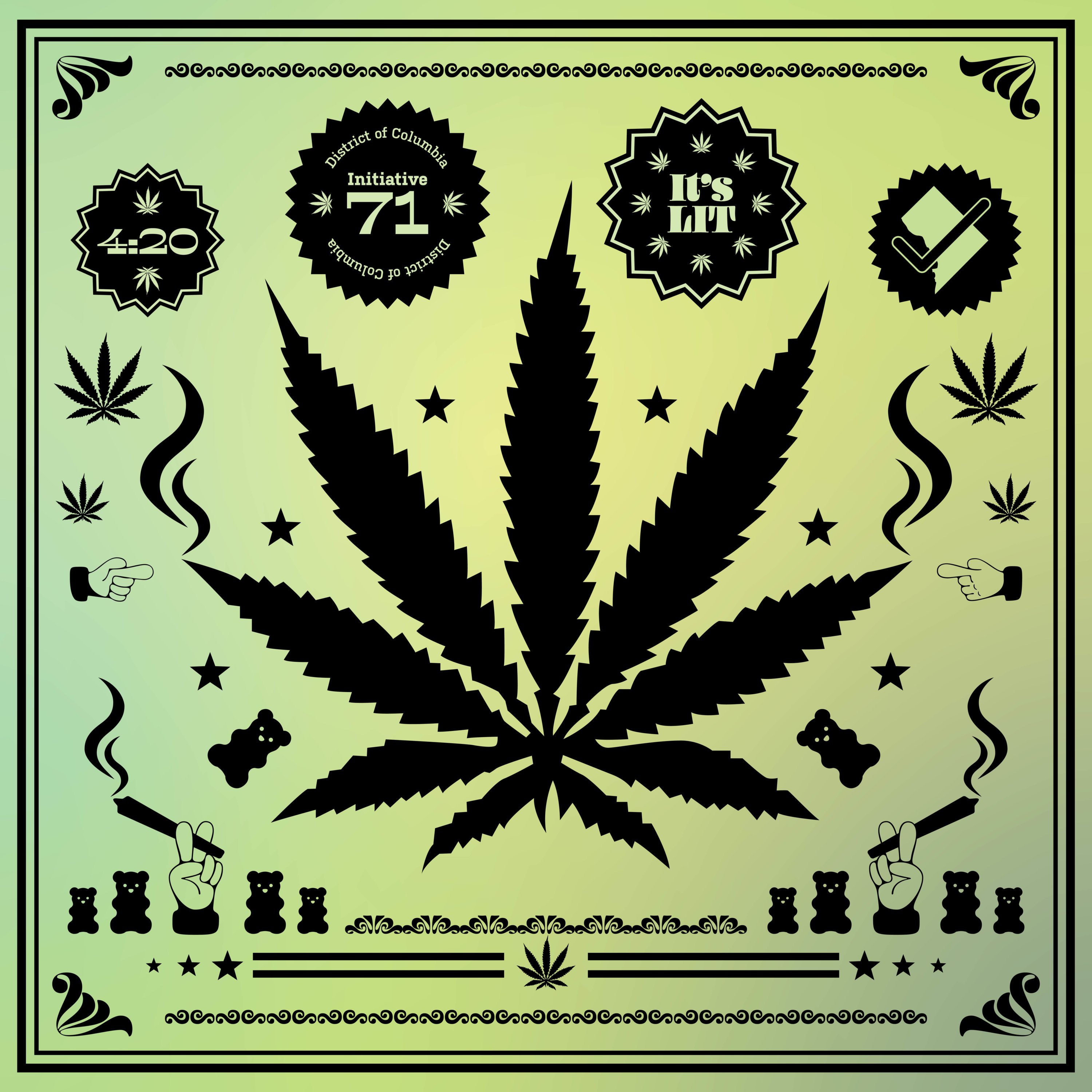 How to make cannabis hashish hassle free