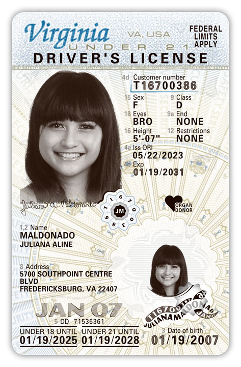 Can You Find The Dogwood Flower On Virginia s New Driver s Licenses can-you-find-the-dogwood-flower-on-virginia-s-new-driver-s-licenses
