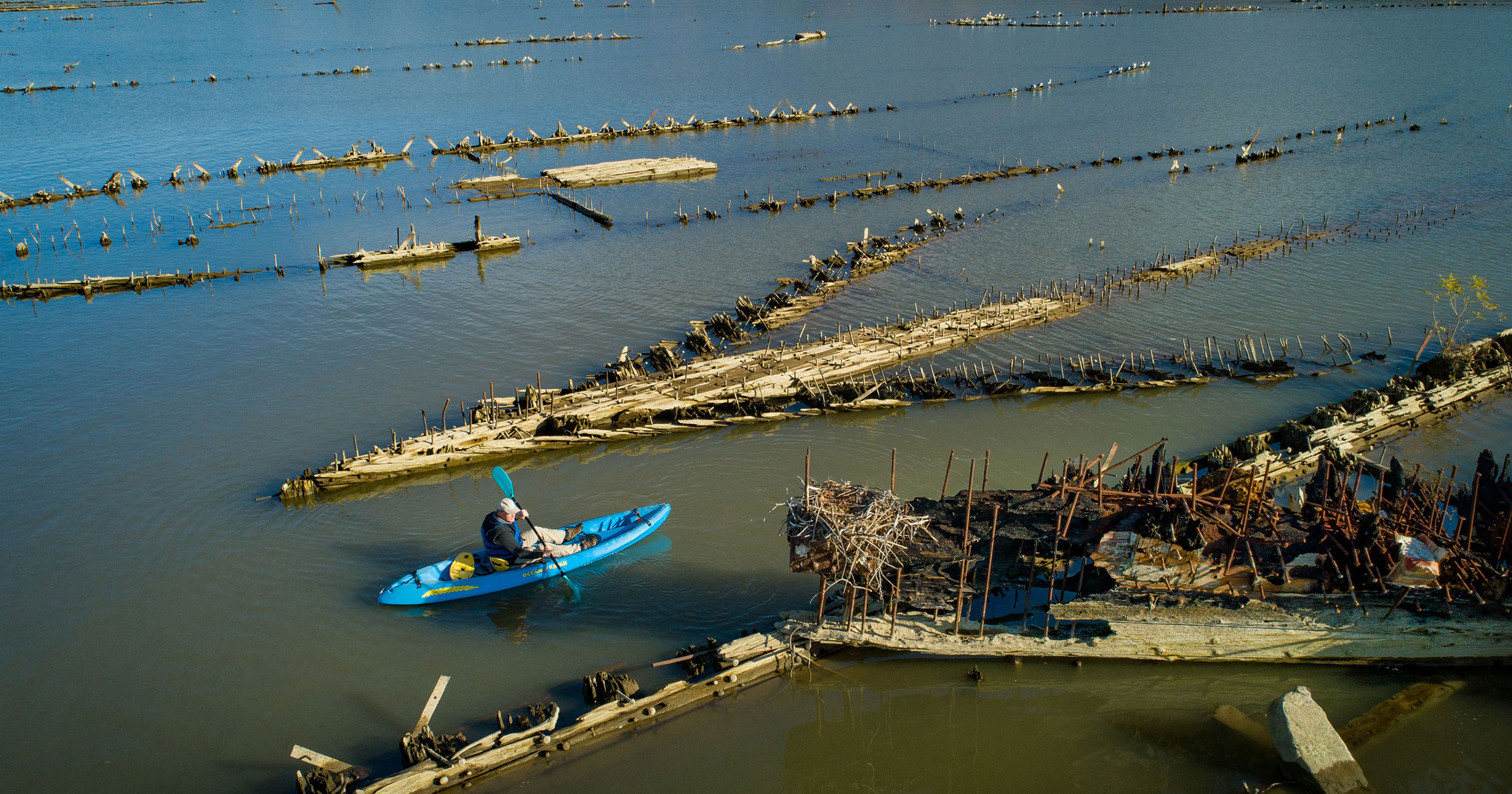 12 Day Trips a Short Drive From DC - Vimarsana News