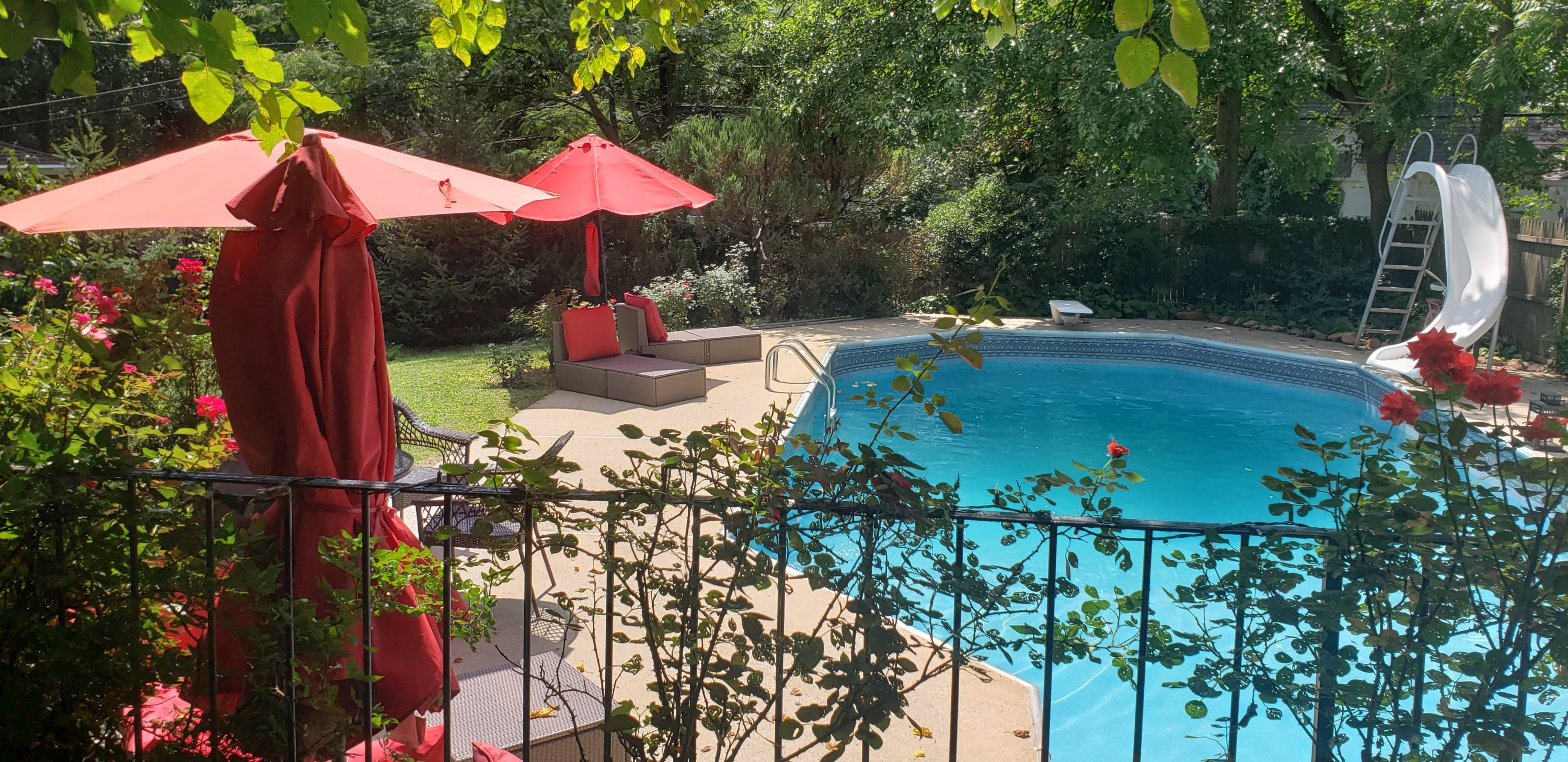Oasis in DC - Washingtonian