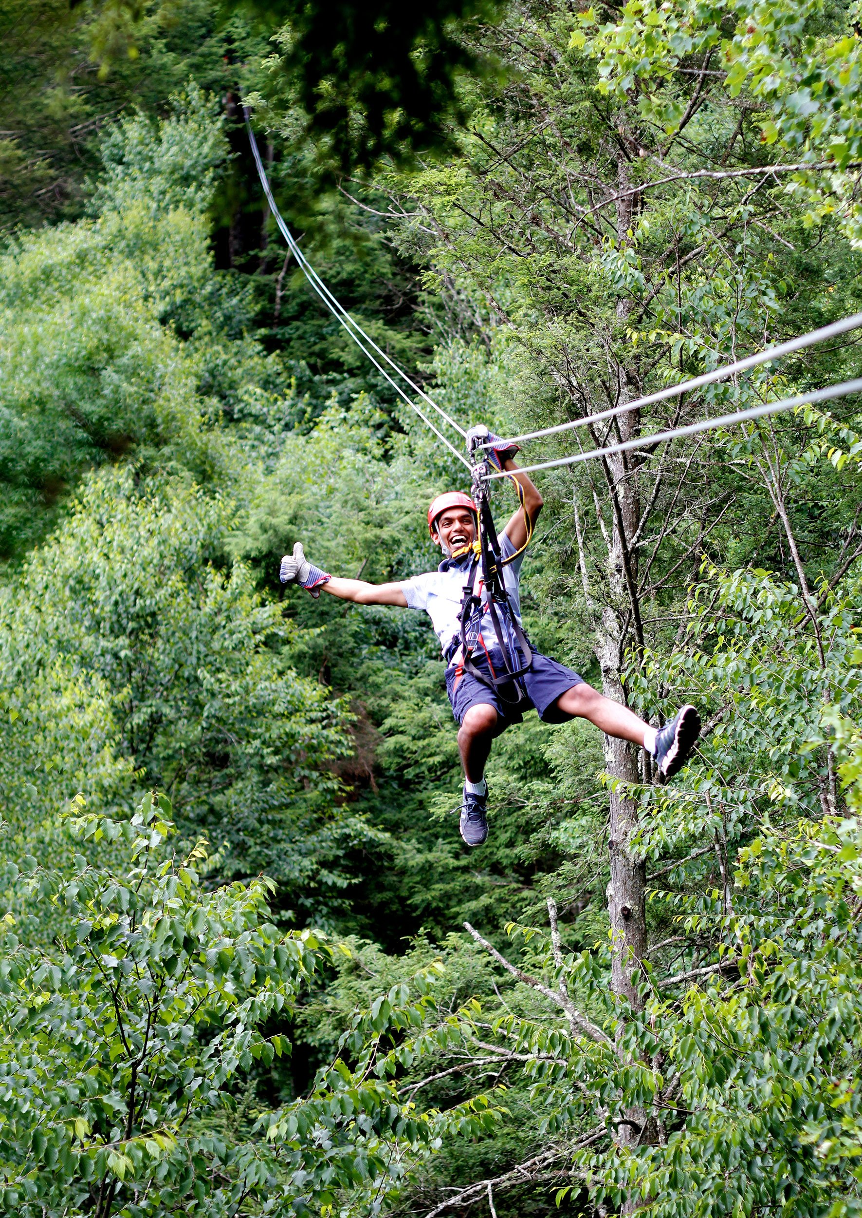 TreeTops-13b-scaled-down - Washingtonian