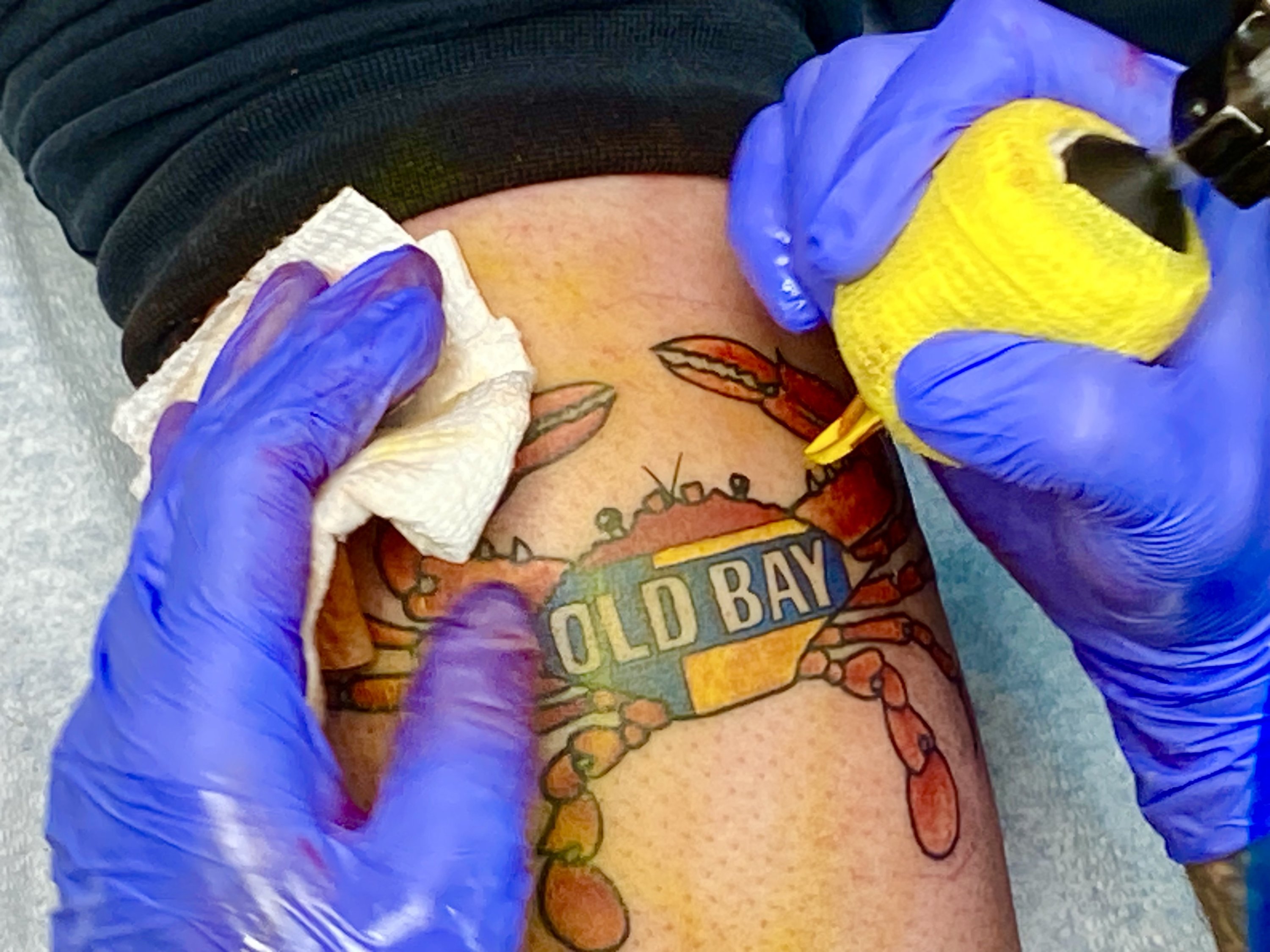 Free Old Bay Tattoos Preakness