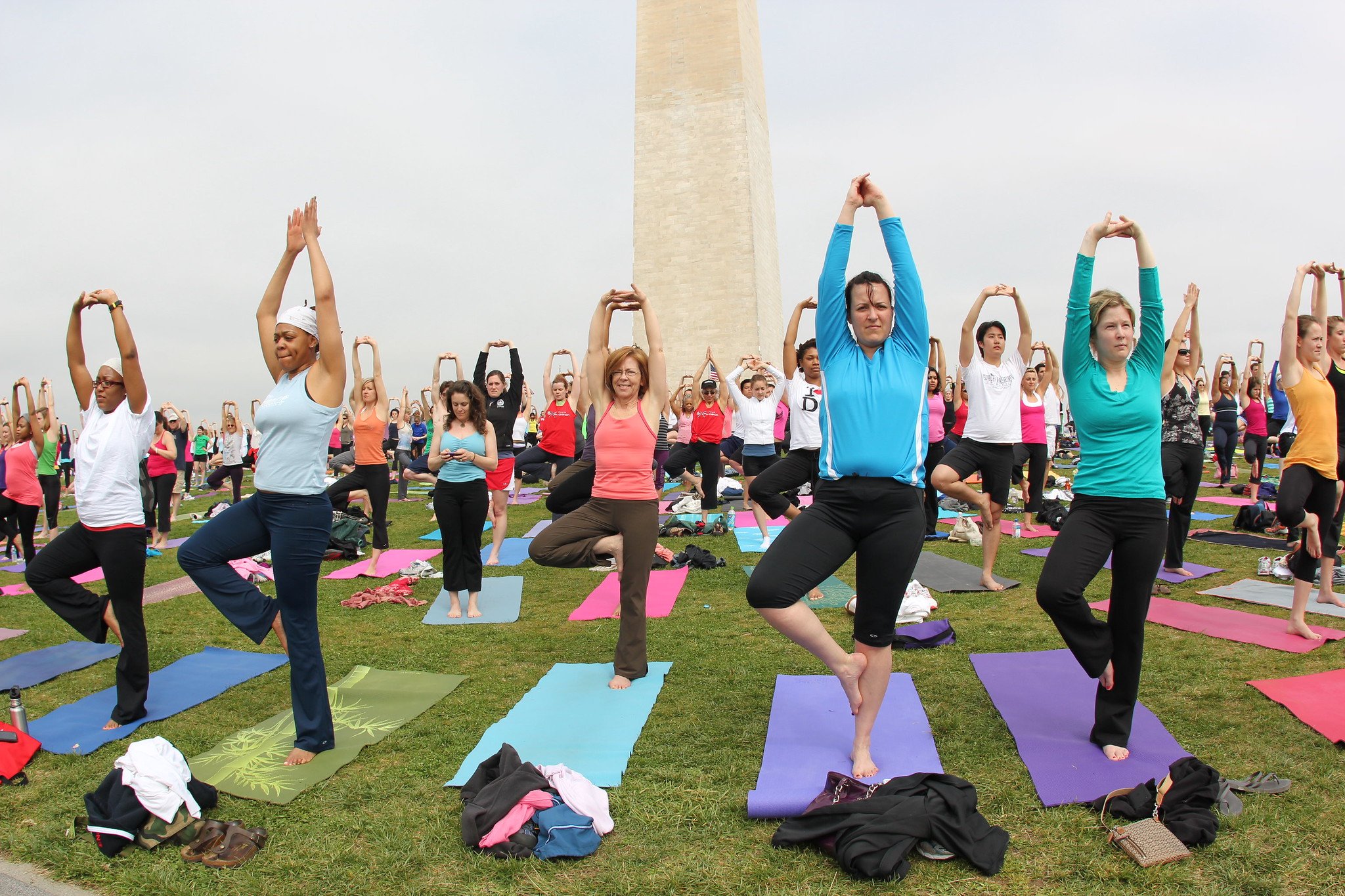 Watch american 2025 yogi online free