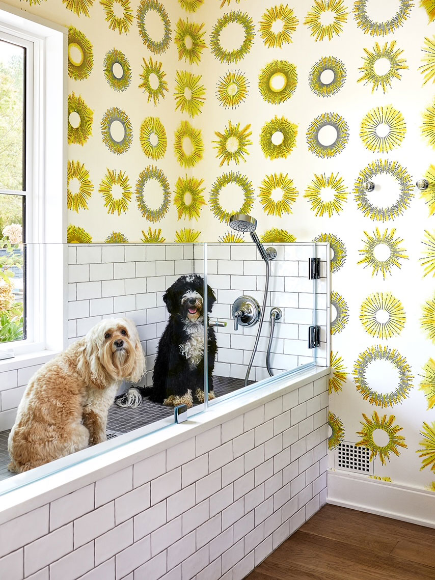 EricaBurns_Wilson2021_18793withdogs-cropped - Washingtonian
