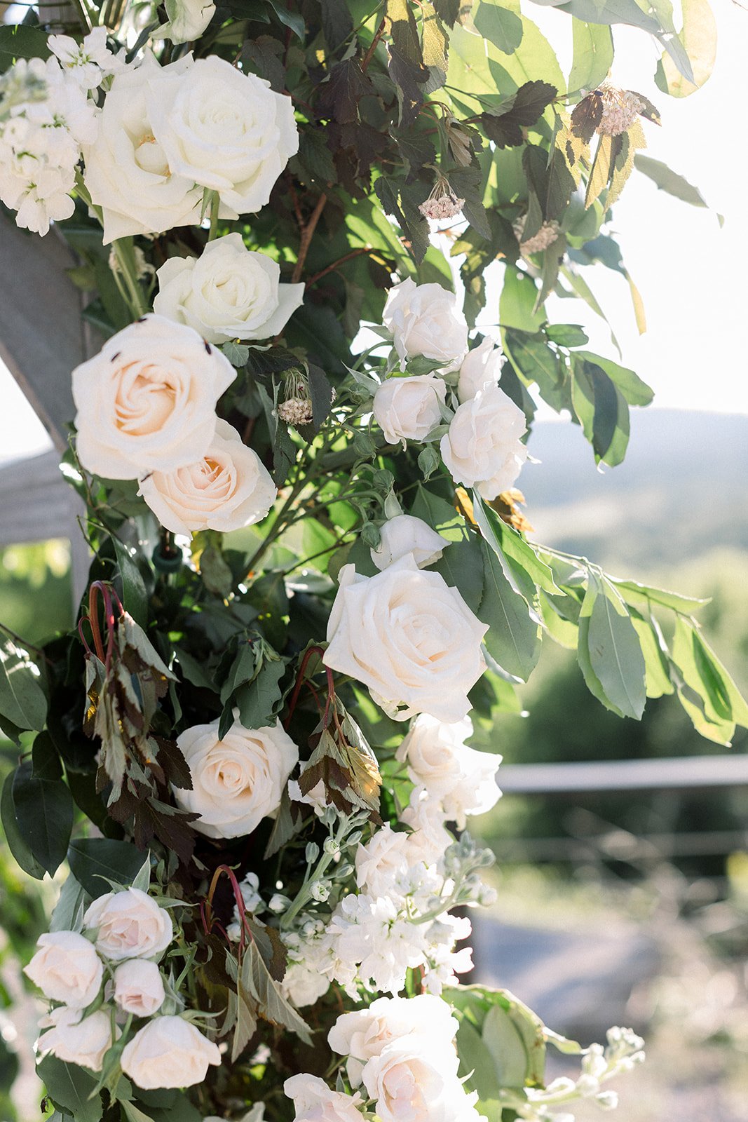 Monger/Hikmat Wedding Submission Gallery Monger/Hikmat Wedding Submission Gallery