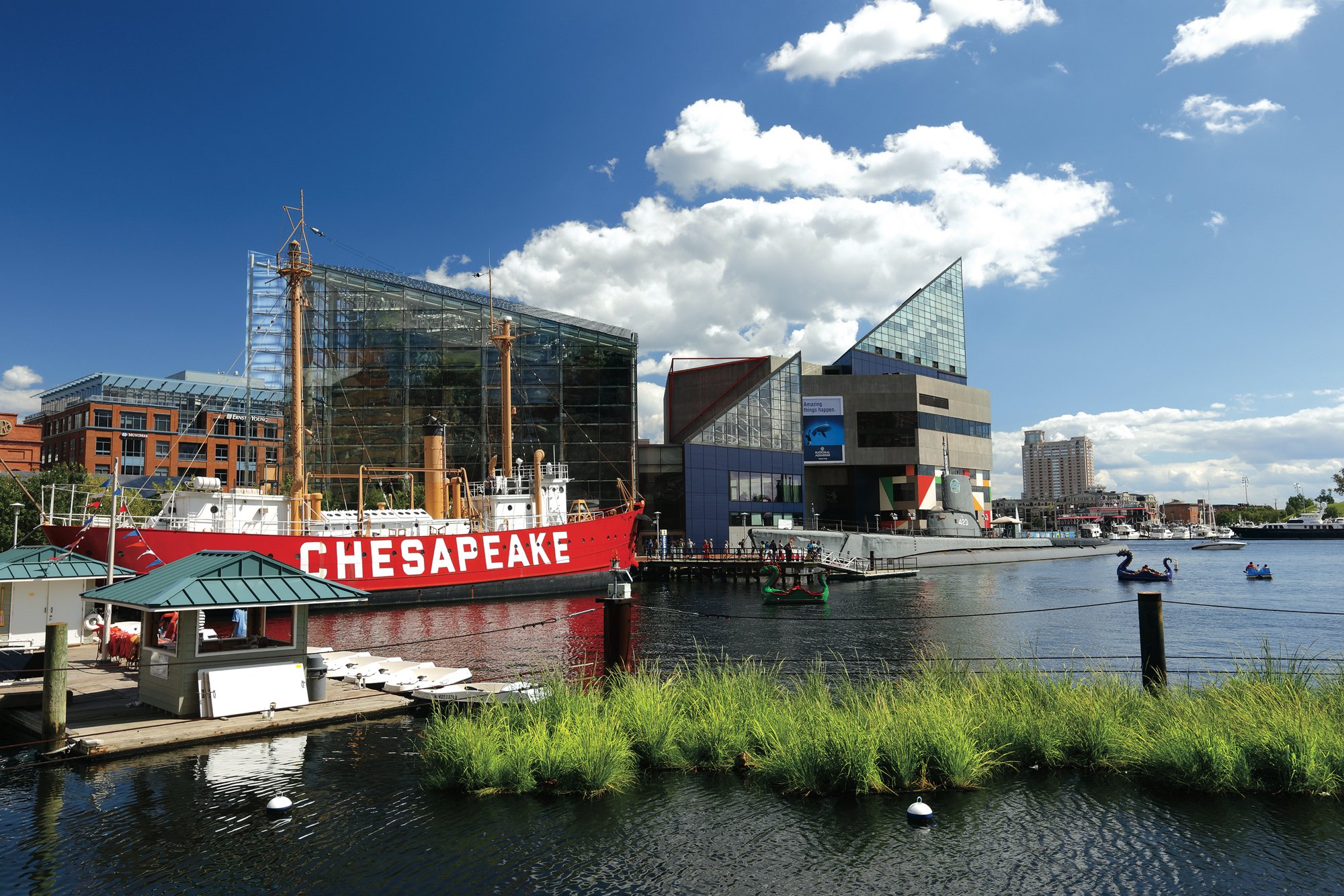 Baltimore-Aquarium - Washingtonian