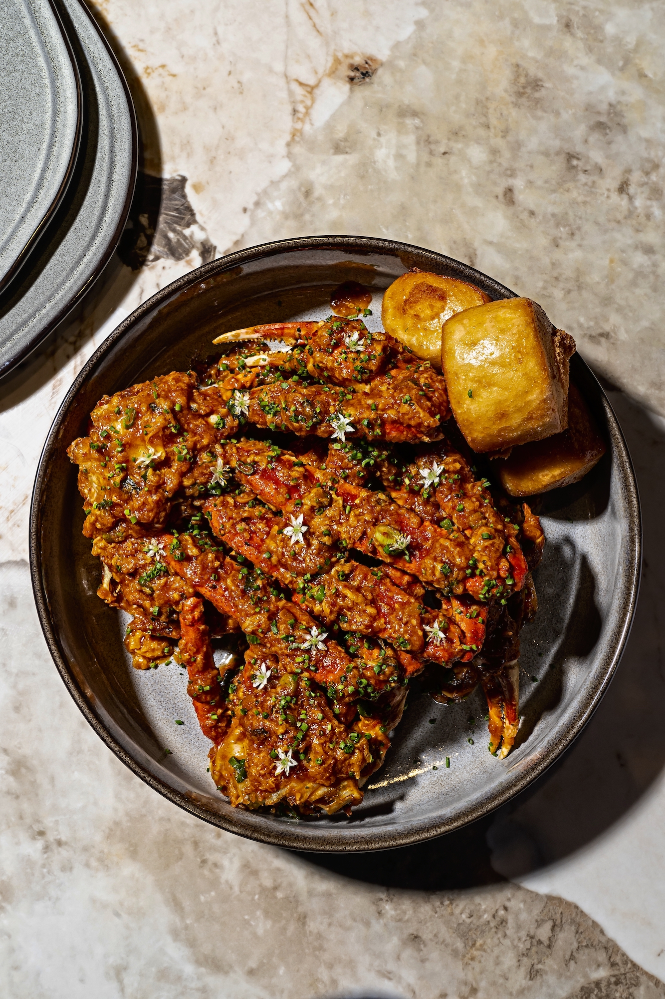 Jiwa Singapura, McLean, VA - Washingtonian