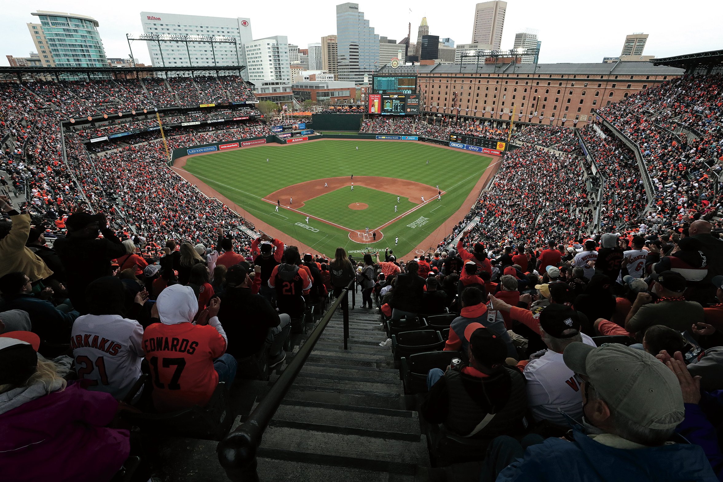 Orioles - Washingtonian