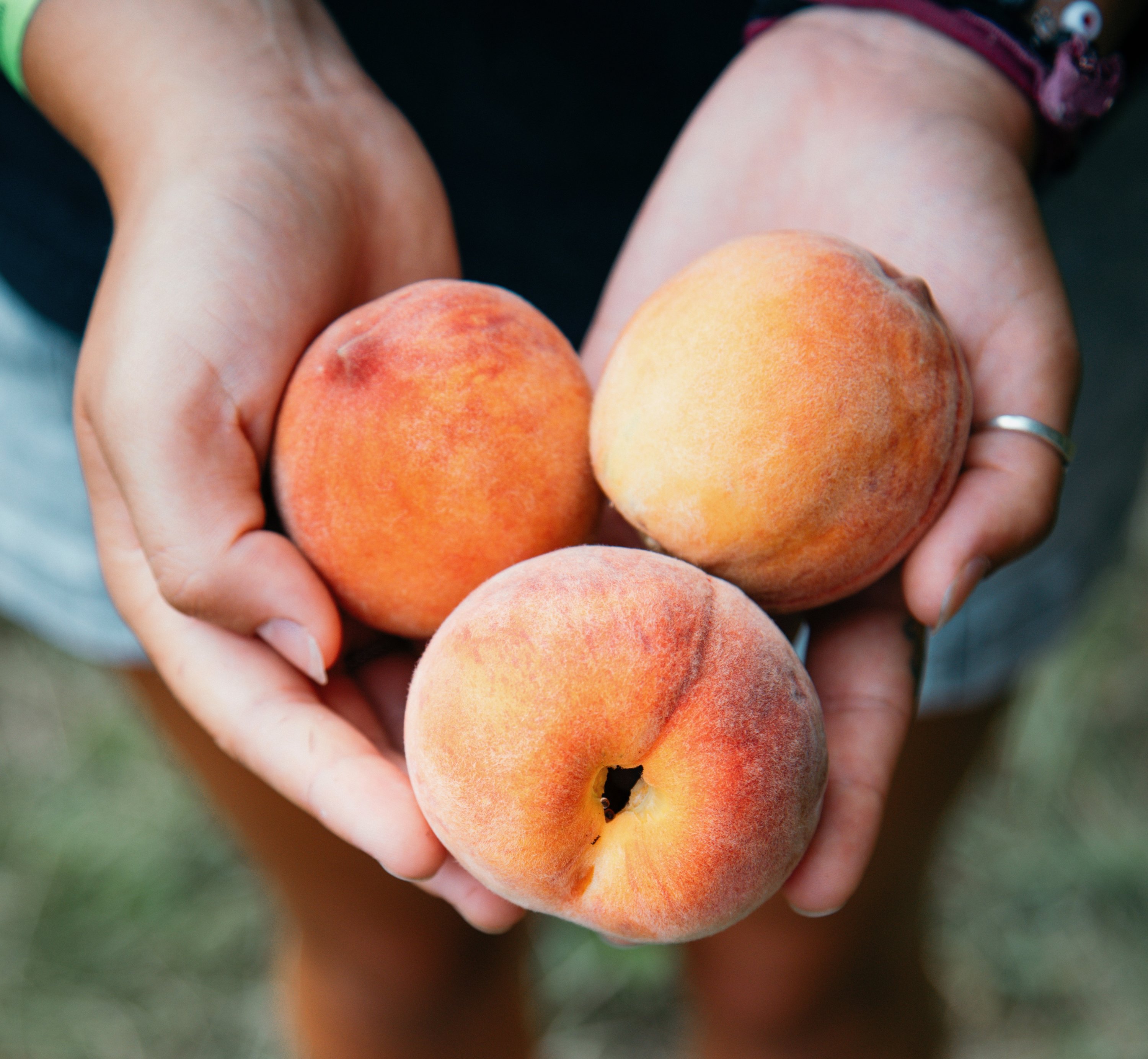 Peaches-Summer-Bucket-List - Washingtonian