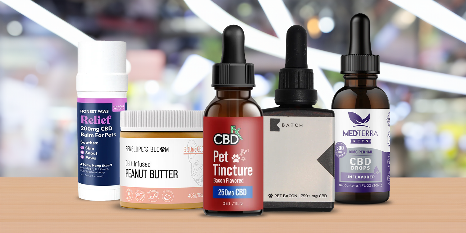 Best CBD for Dogs: 5 CBD Oil Products to Give Your Dog Relief From Chronic Pain, Anxiety, and More