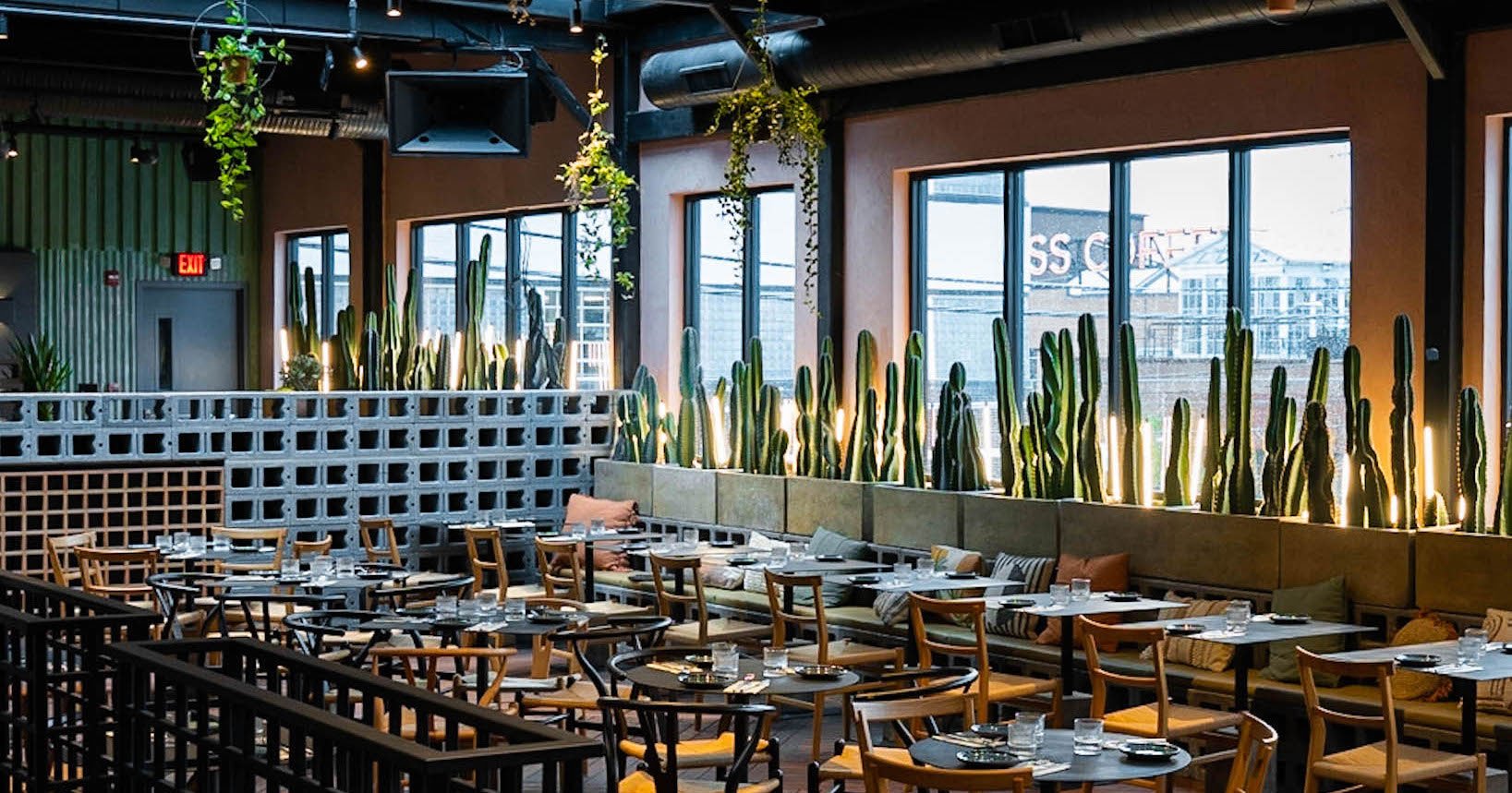 These DC Restaurants Are a Whole Vibe