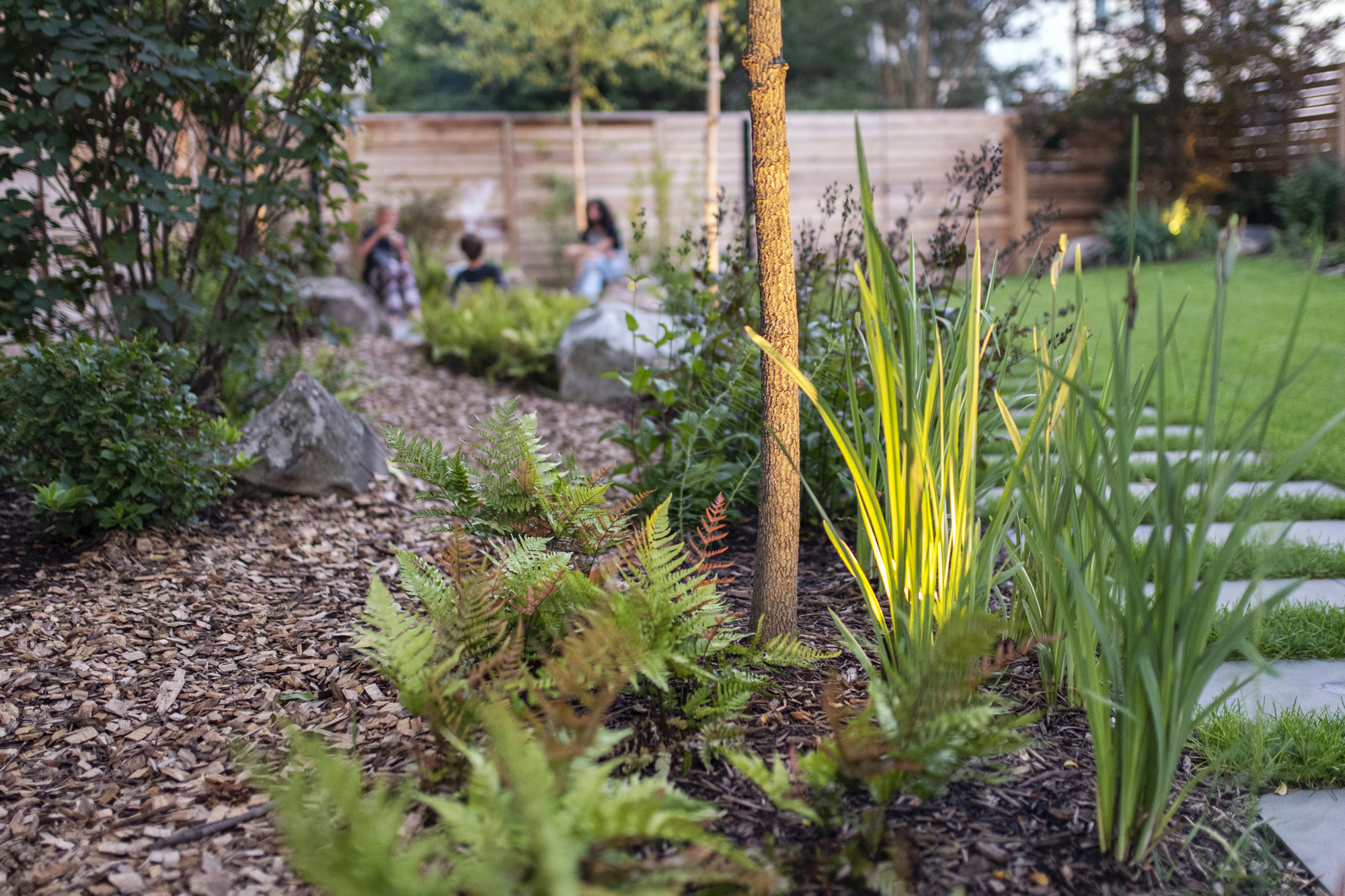 Gardening-Tips - Washingtonian