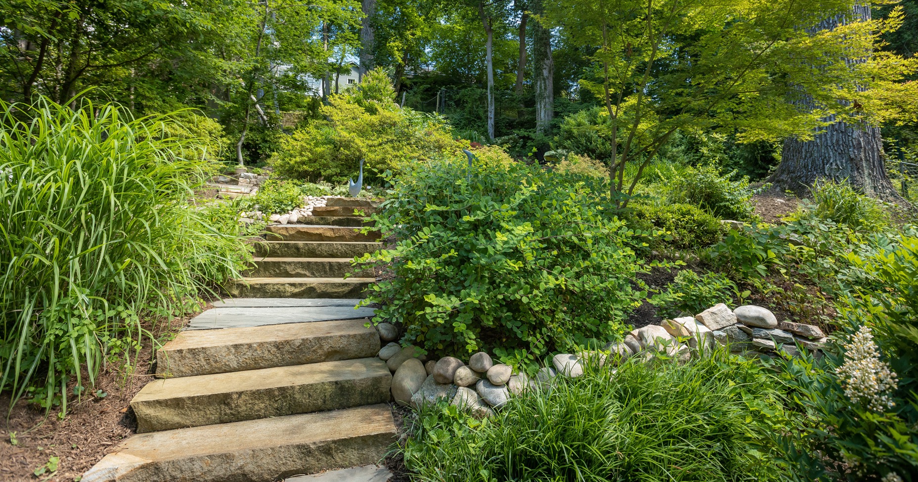 People Are Opting for Biodiverse Lawns Over Lush Grass Yards - Vimarsana News