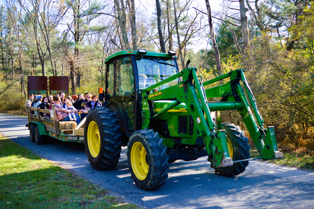 2013 Fall Furnace Festival at PIne Grove Furnace State Park - Washingtonian