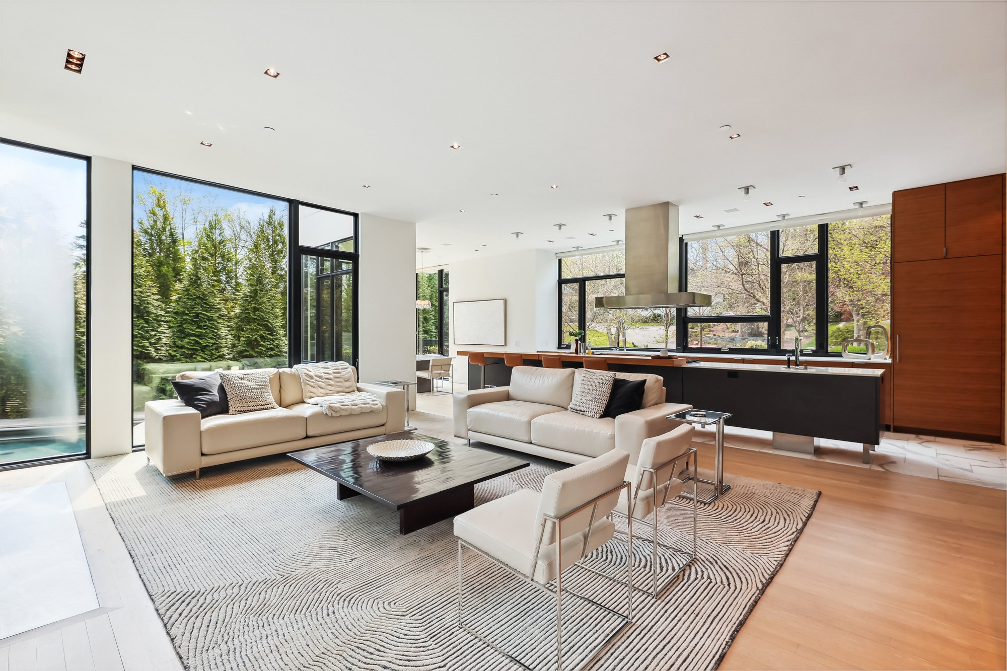 Living-Room-Lux-Homes - Washingtonian