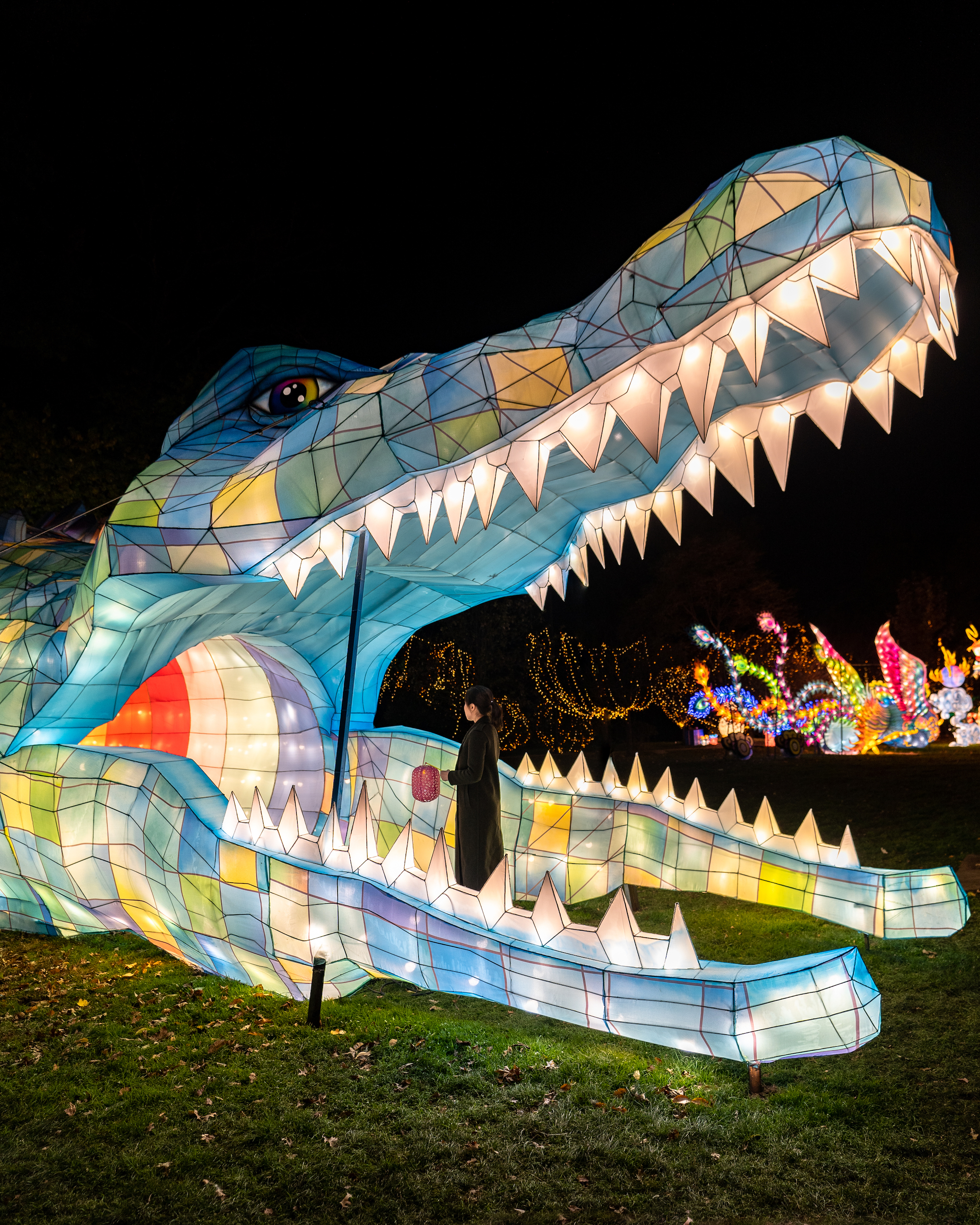 Photo courtesy of Winter Lantern Festival