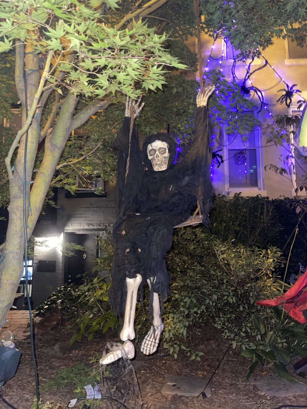 PHOTOS Some of Our Favorite Capitol Hill Halloween Decorations