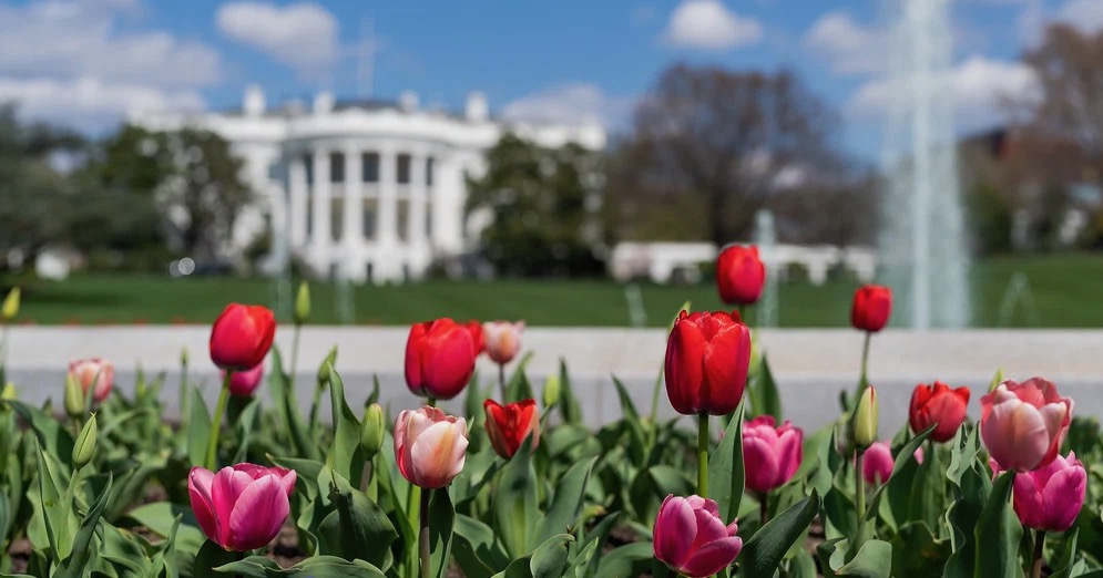 How to Get Tickets for the White House Fall Garden Tours