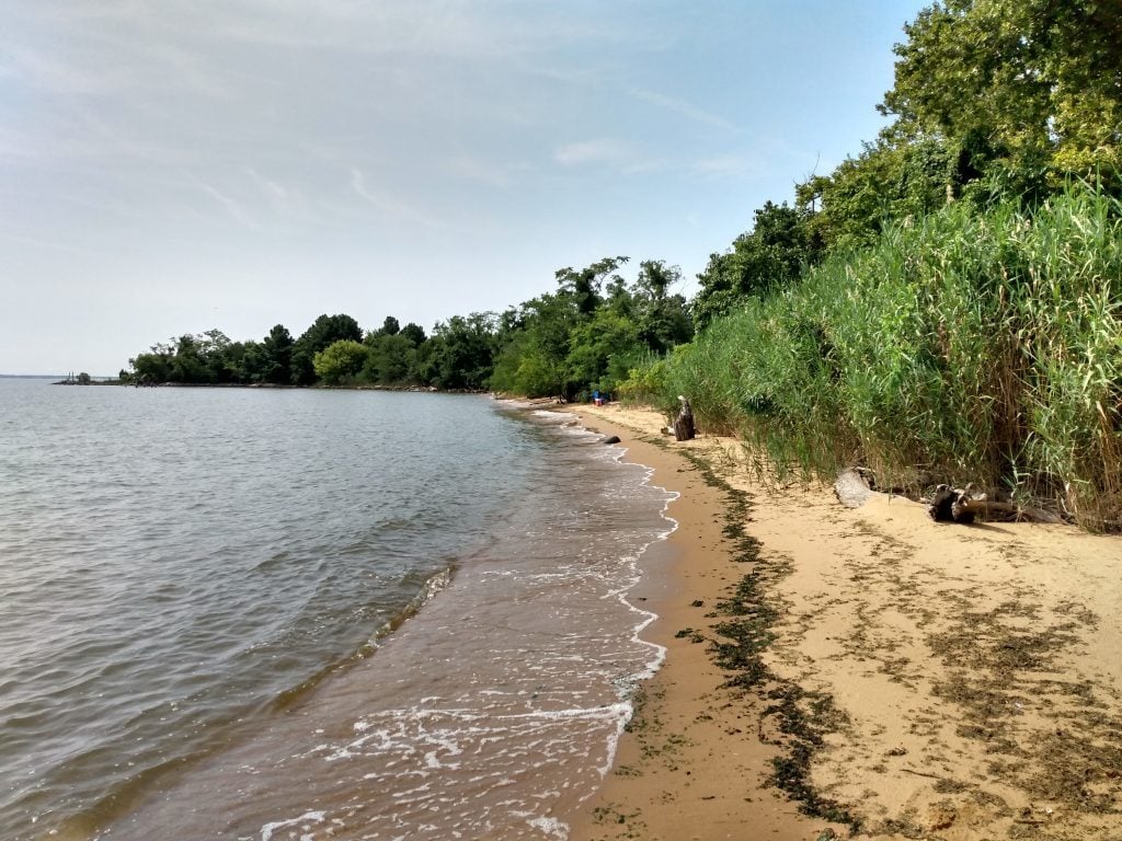 Holly Beach Farm. Photo courtesy of the Chesapeake Bay Foundation.