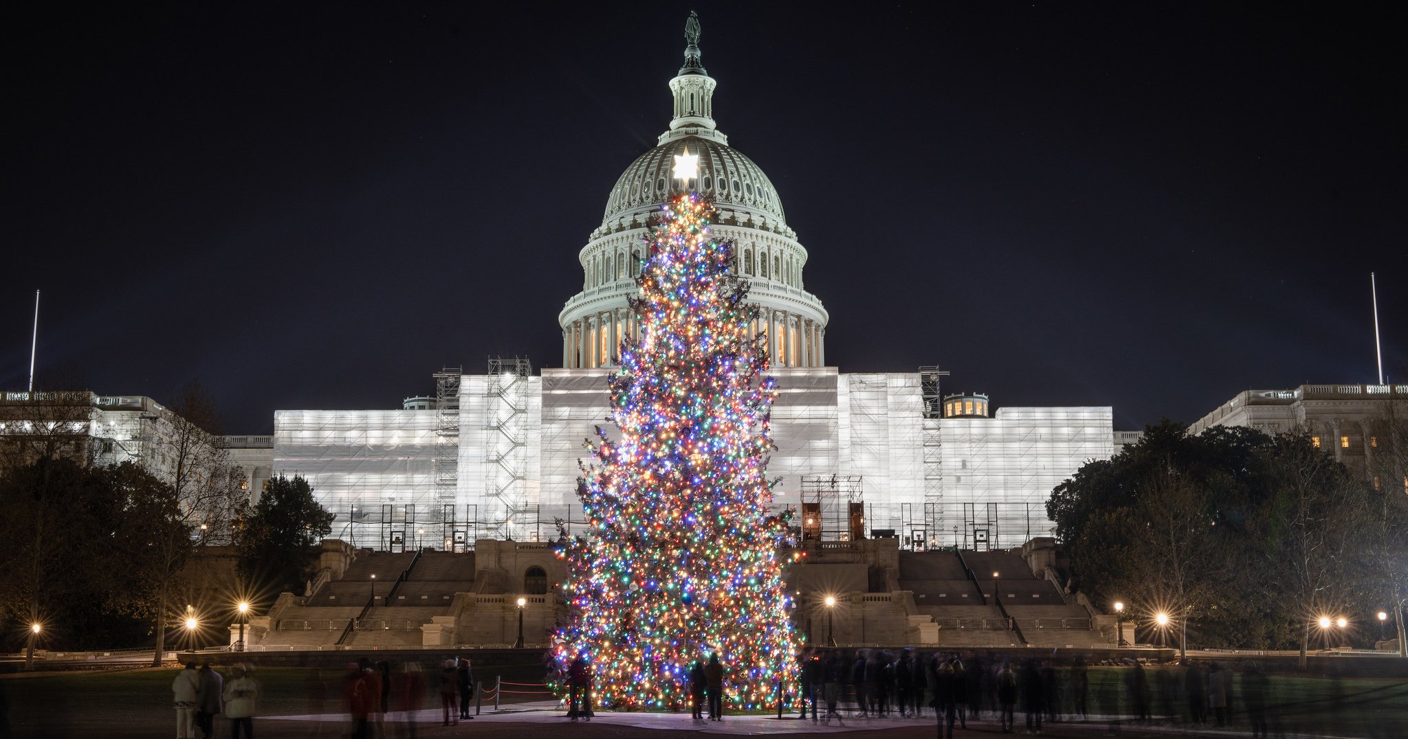 How They Pick the Capitol’s Christmas Tree Washingtonian