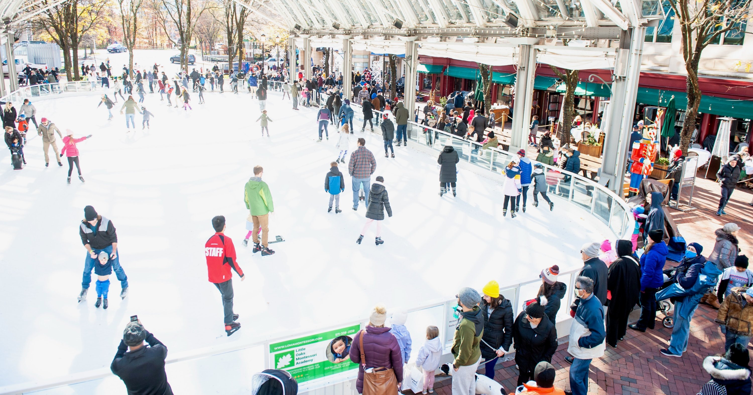 华盛顿特区必做活动：动物园亮灯节、迷人圣诞灯光展、滑冰