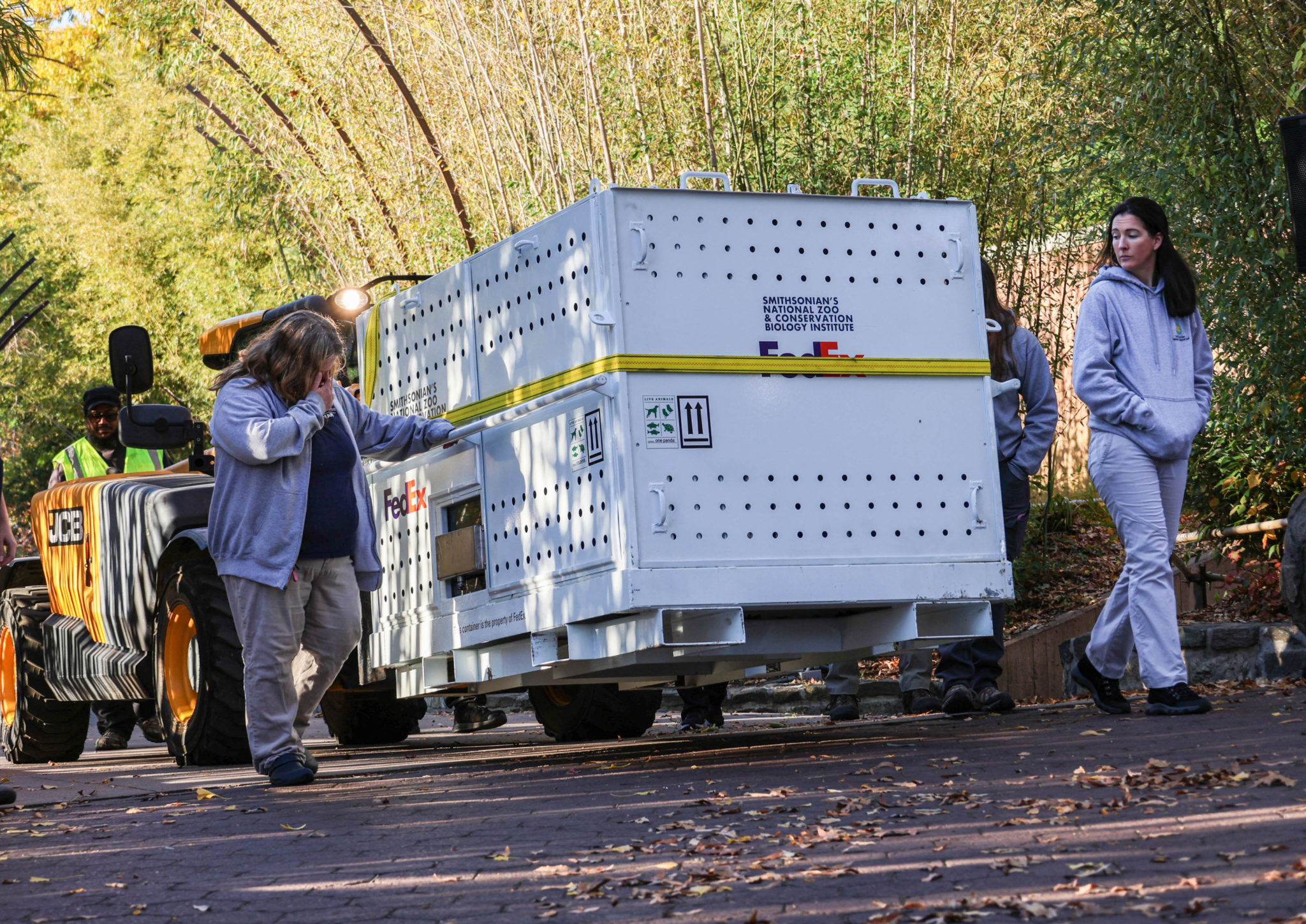 PHOTOS: The Pandas Leave the National Zoo for the Last Time