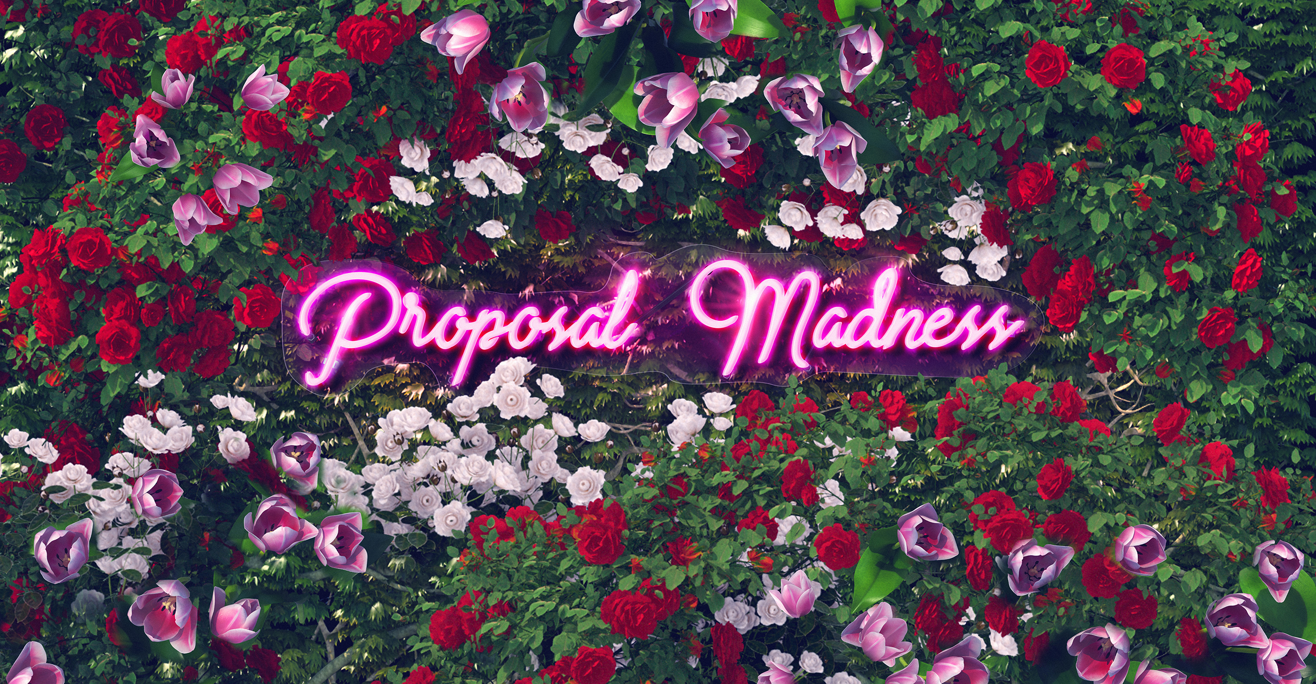 proposal-madness-(high-res)-scaled-down - Washingtonian