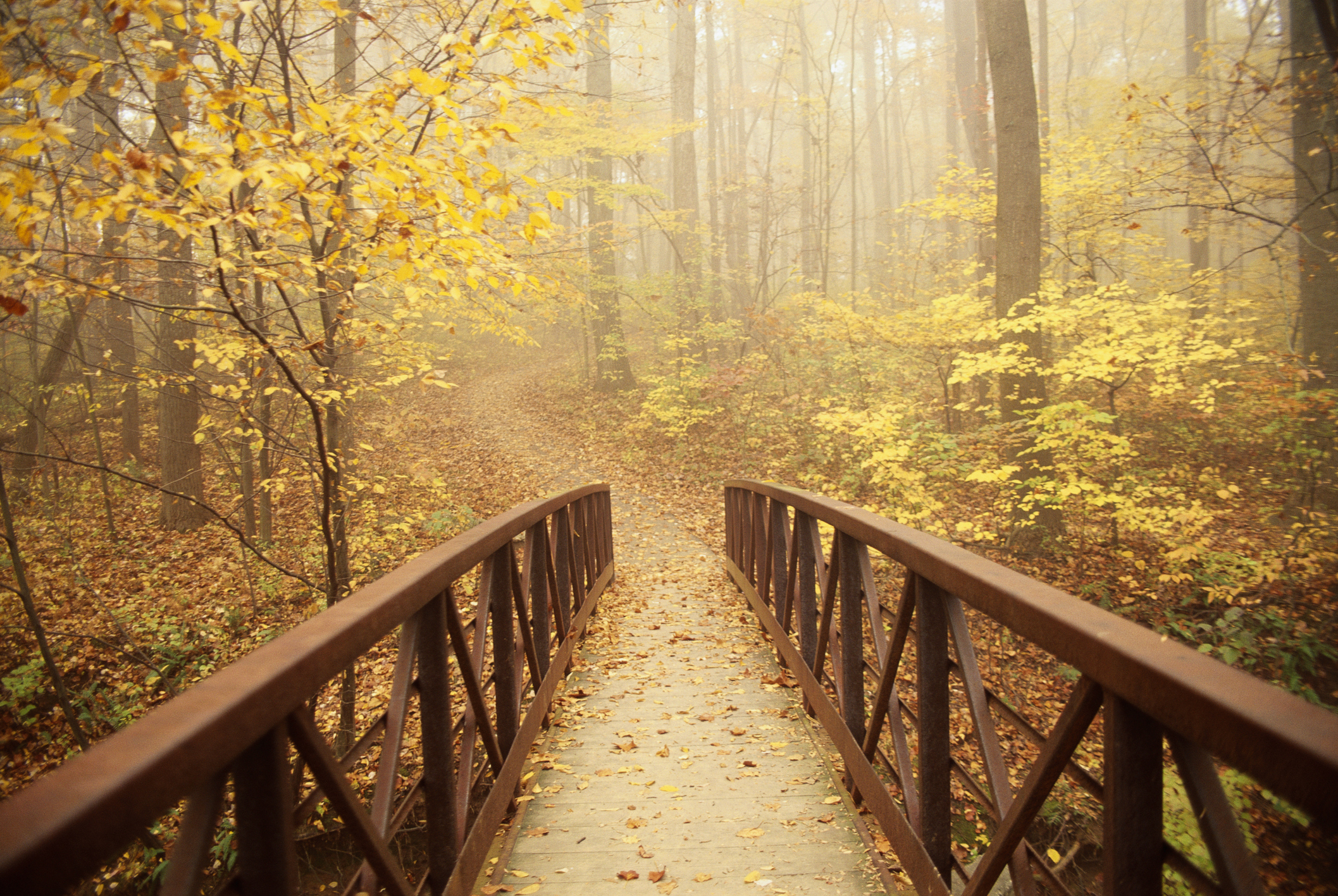 - Washingtonian Great Hikes Day After Thanksgiving Near DC