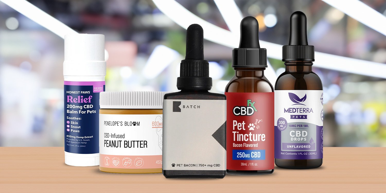 Best CBD Oil for Dogs: 5 Dog CBD Products for Chronic Pain, Stress, and More