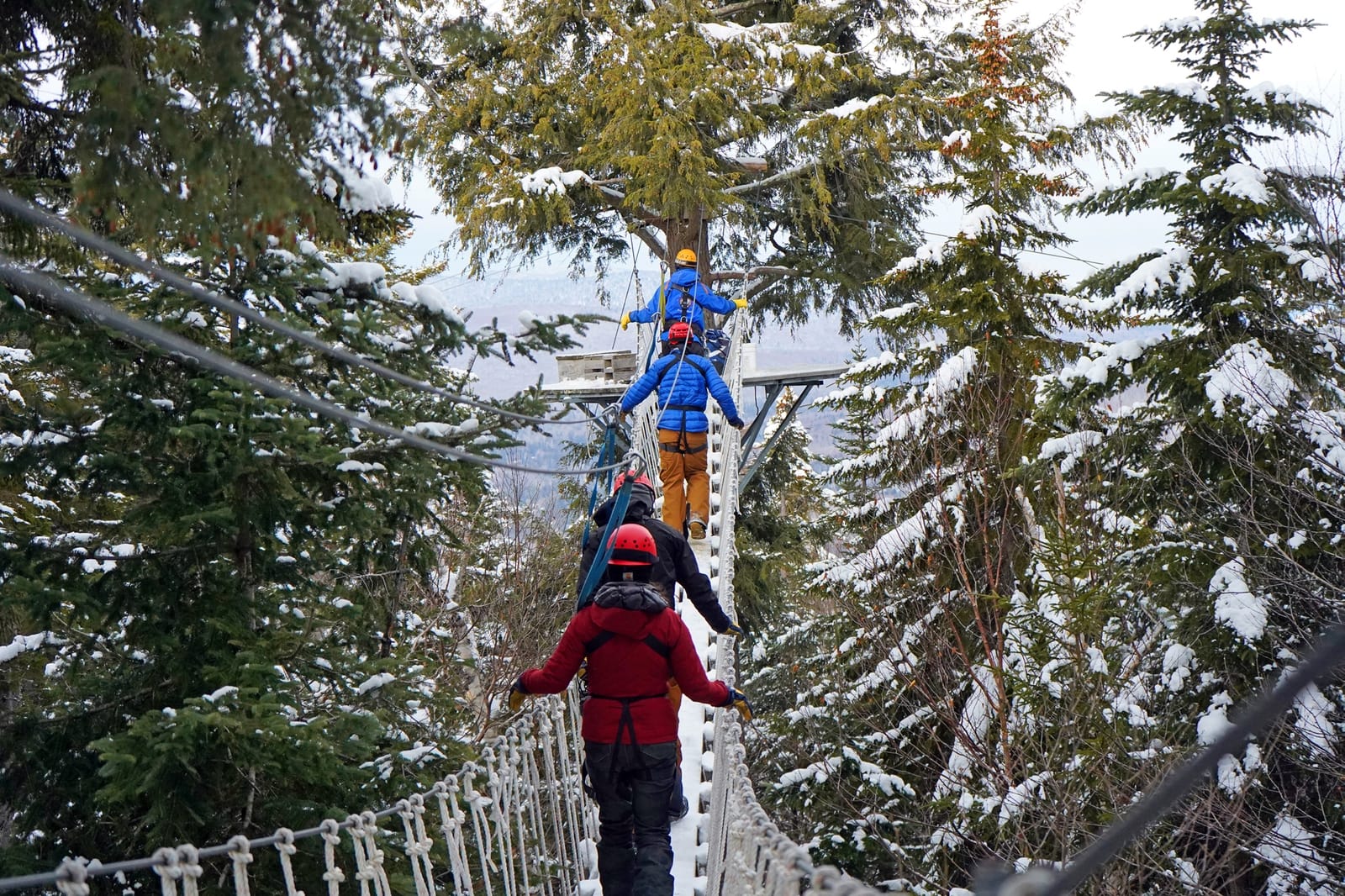 CanopyTourWinterBridge copy - Washingtonian